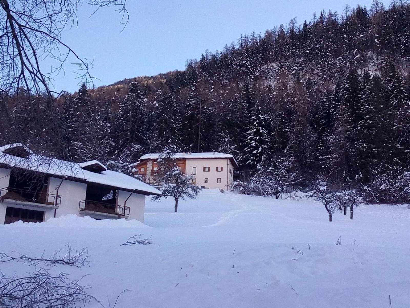 Maso Poffer - Cà del Bosco photo 4