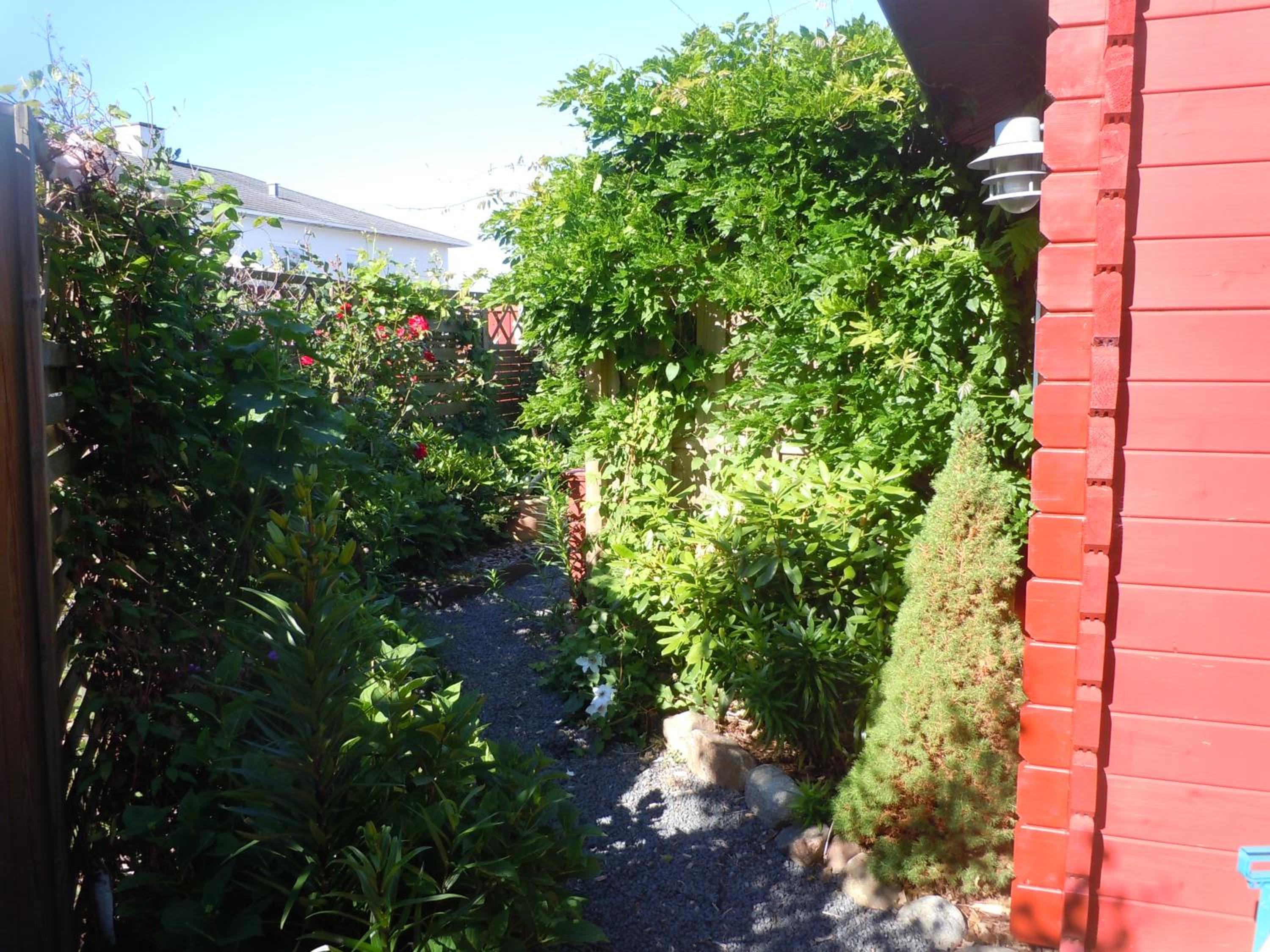 Photo 13
