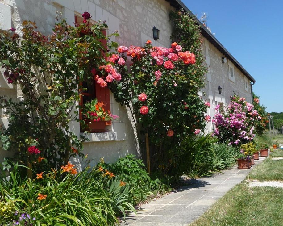 La maison des fleurs view 2