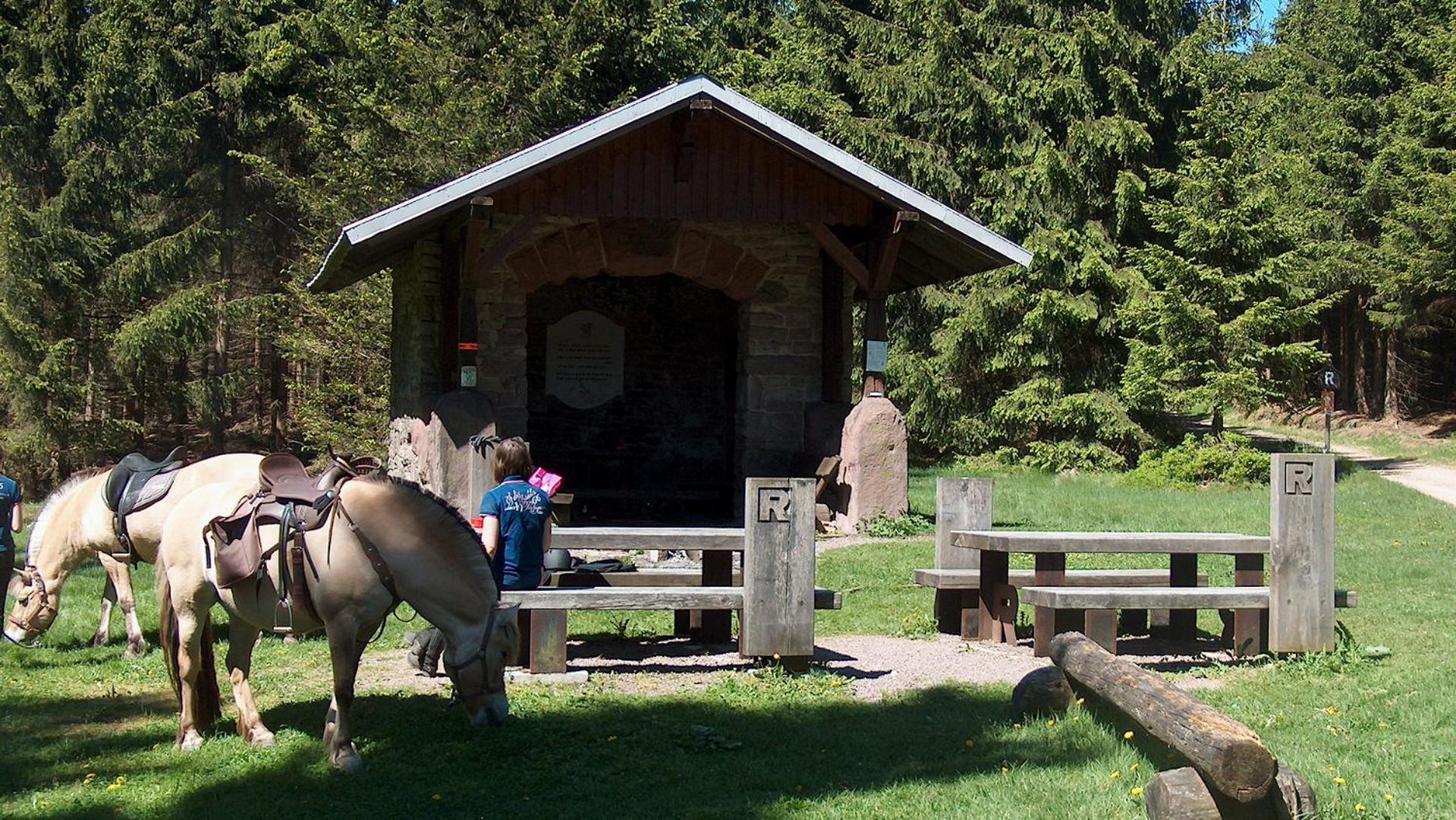 Ferienwohnung Trollmann