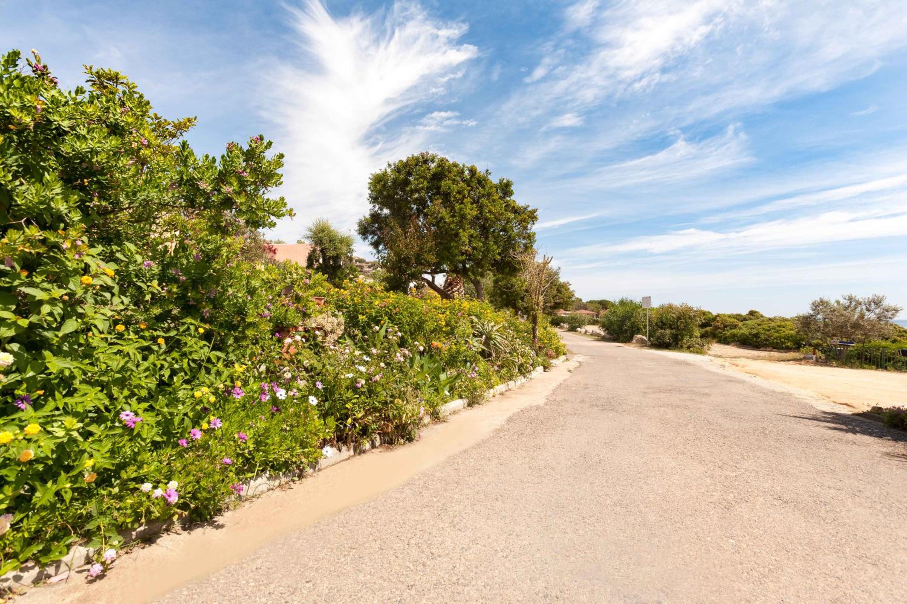 Free Beach Apartments