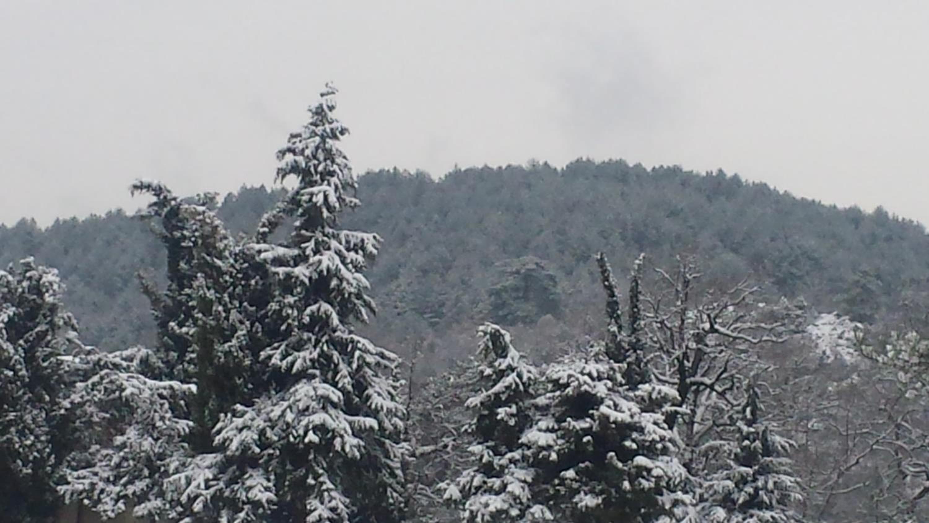 Panorama Kakopleyri Kalabakas