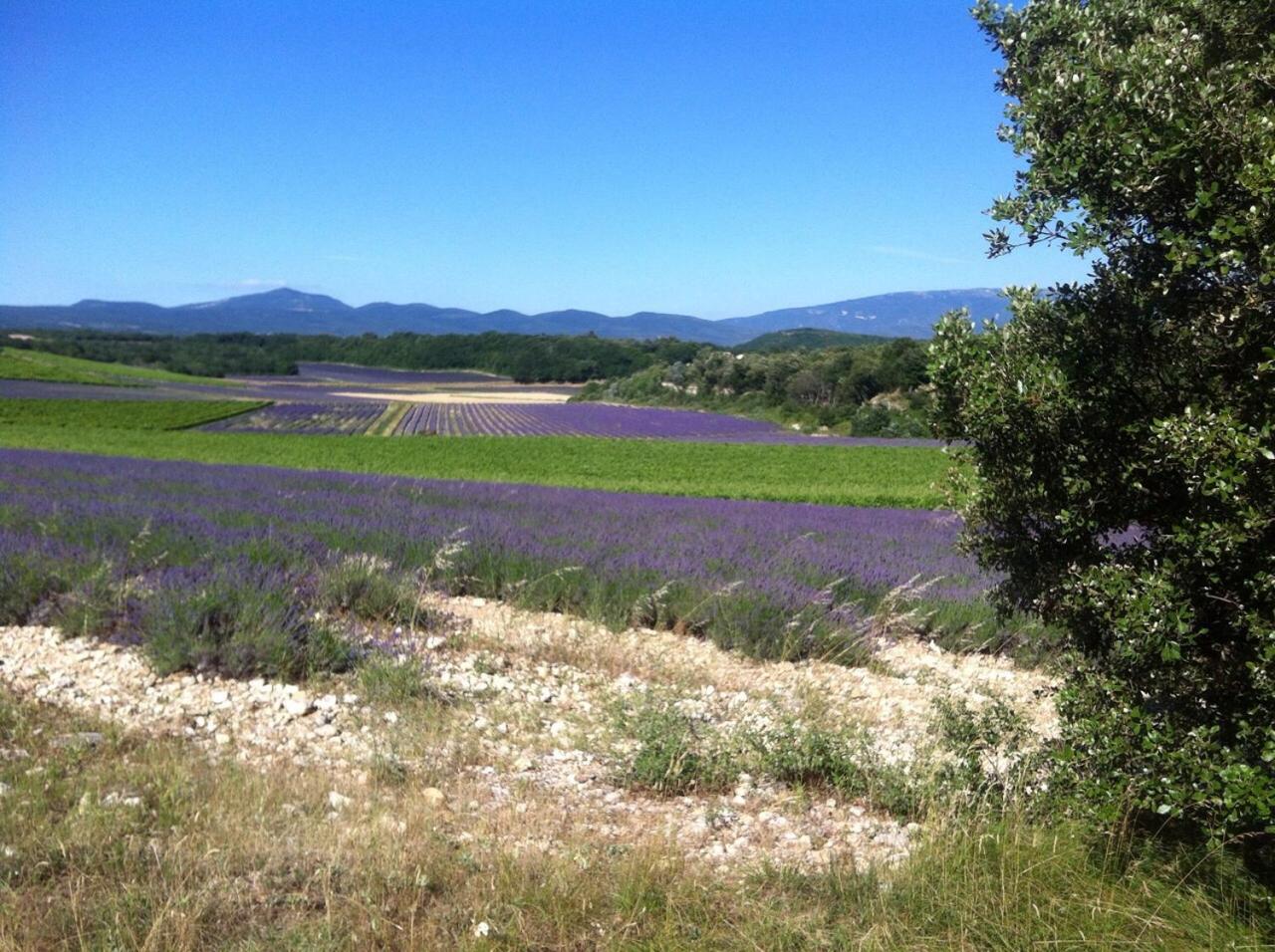 Gites de La Croix du Gres