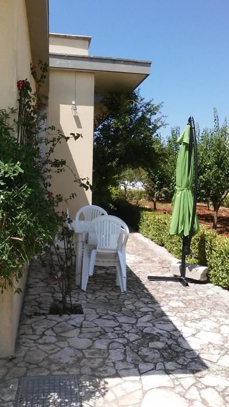 Photo 44