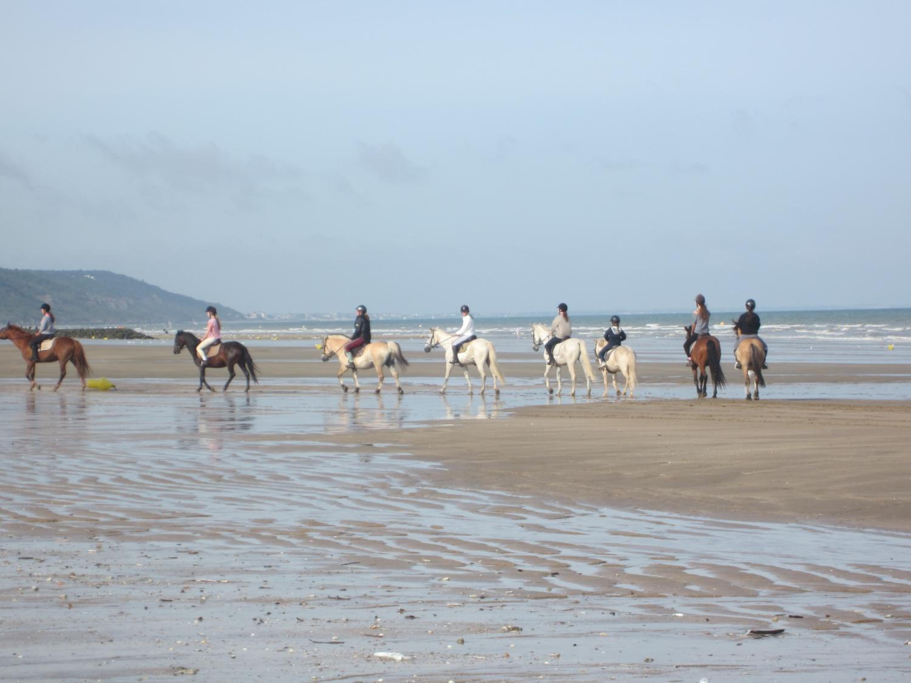 Deauville Vacations - Appartement tout confort refait a neuf - Property Image 16