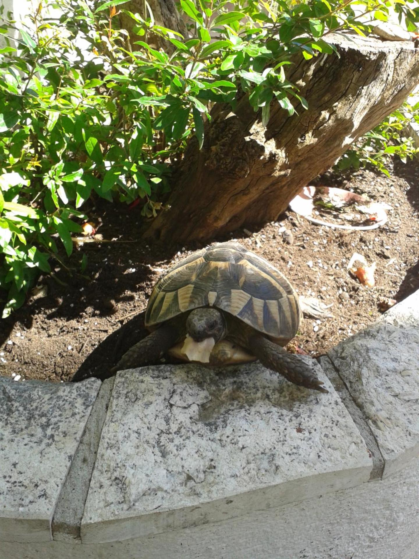 Photo 14