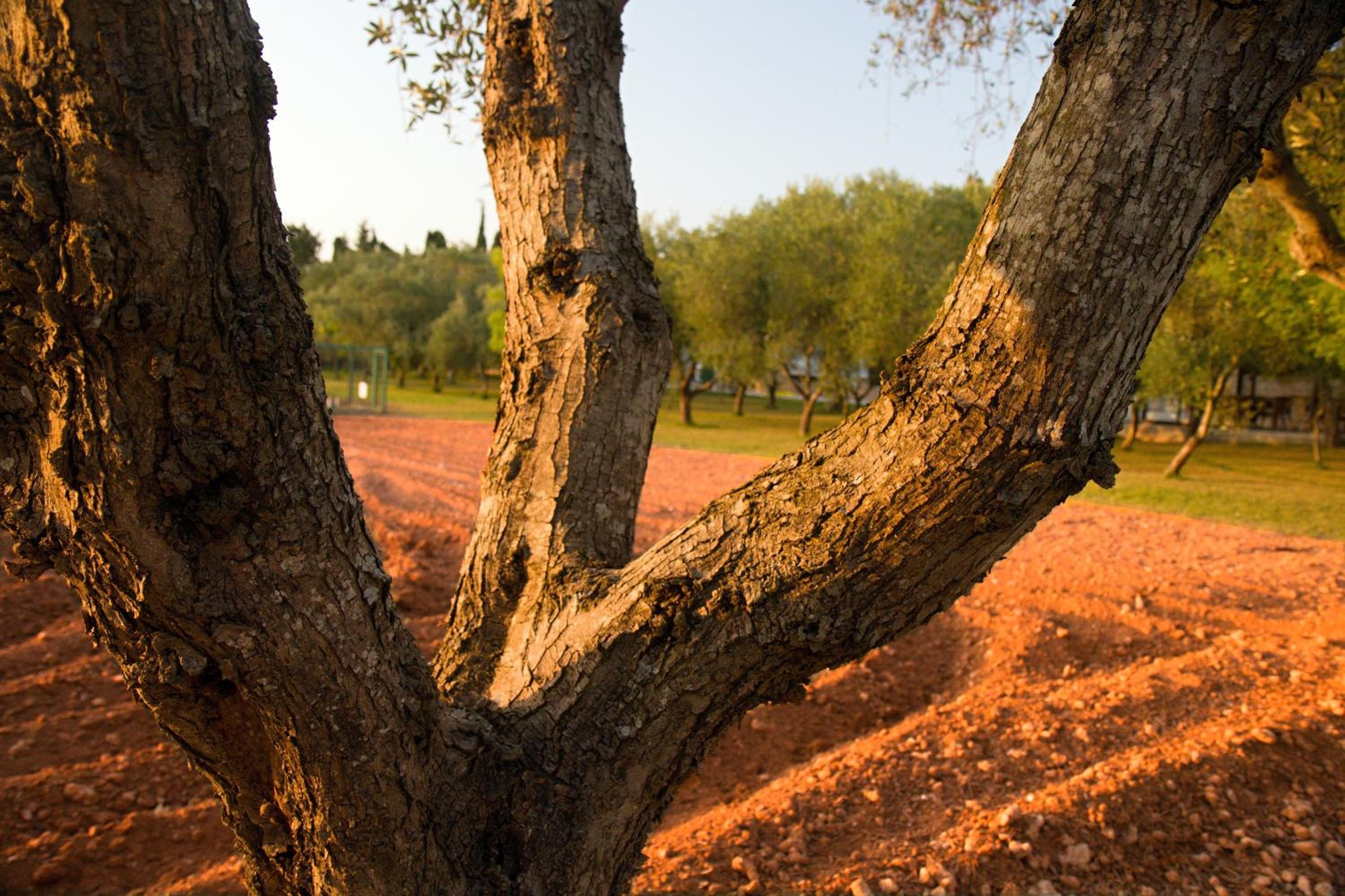 Agriturismo Terra Rossa