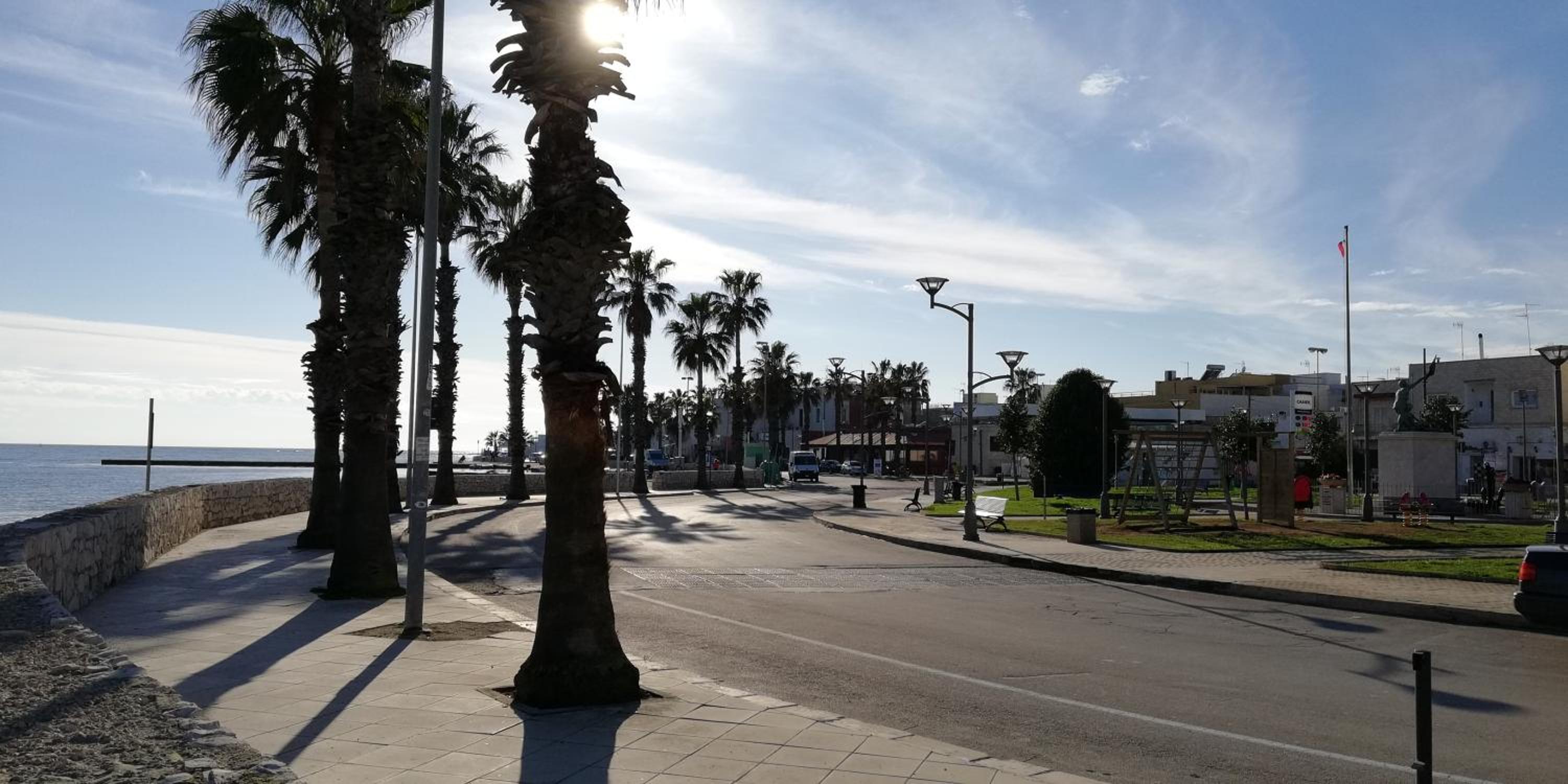 Photo 46