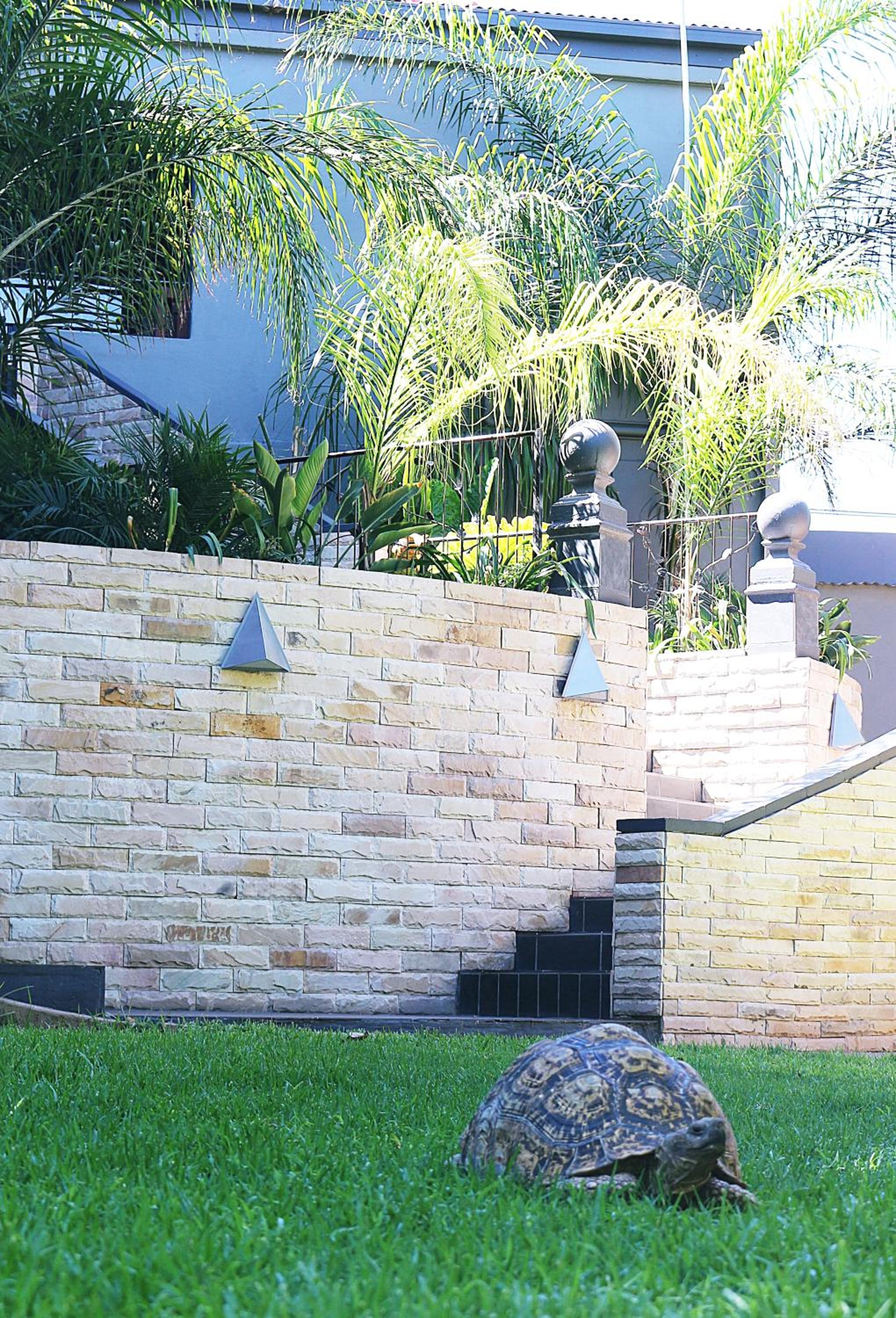 Photo 8
