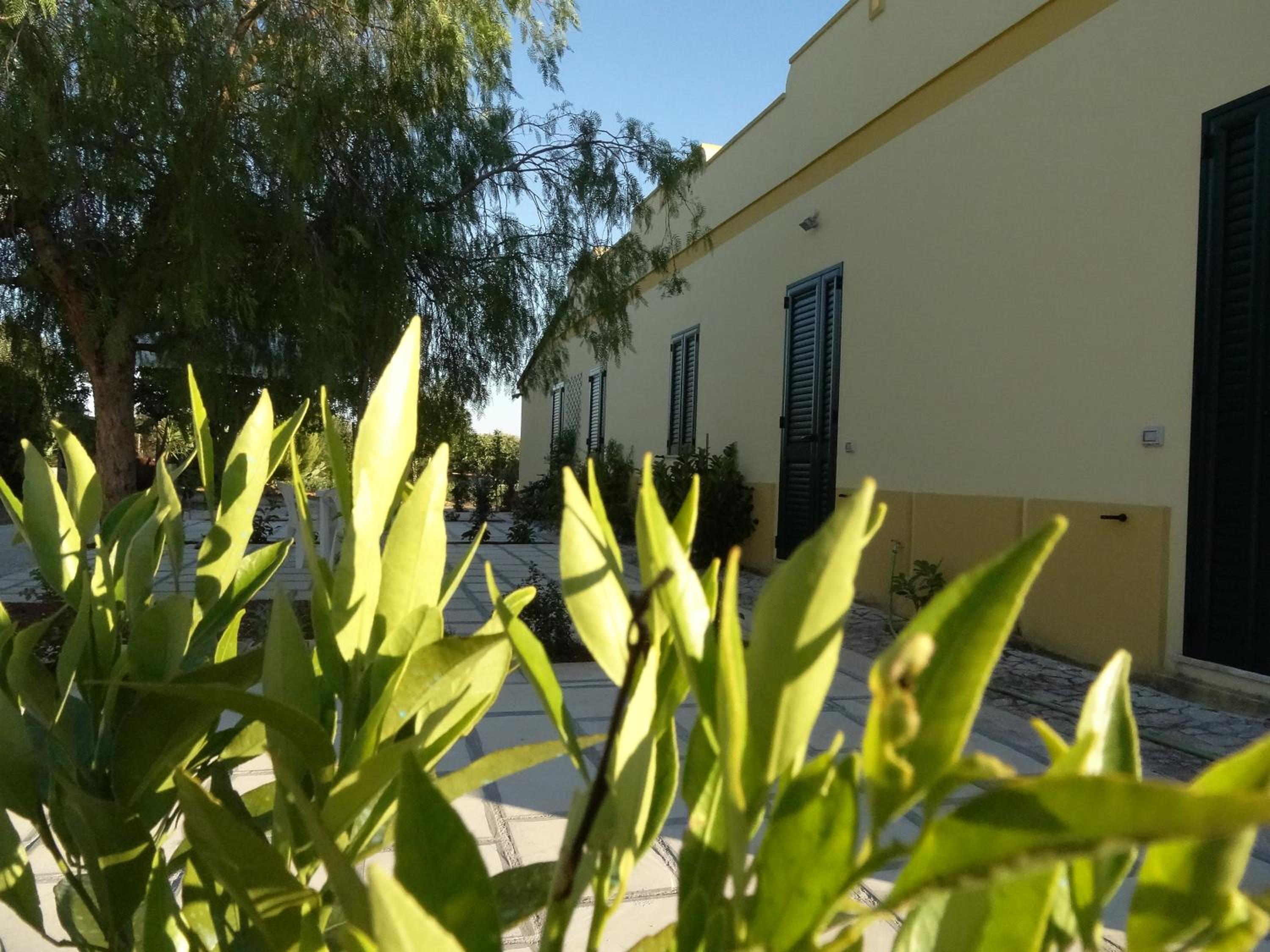 Photo 35