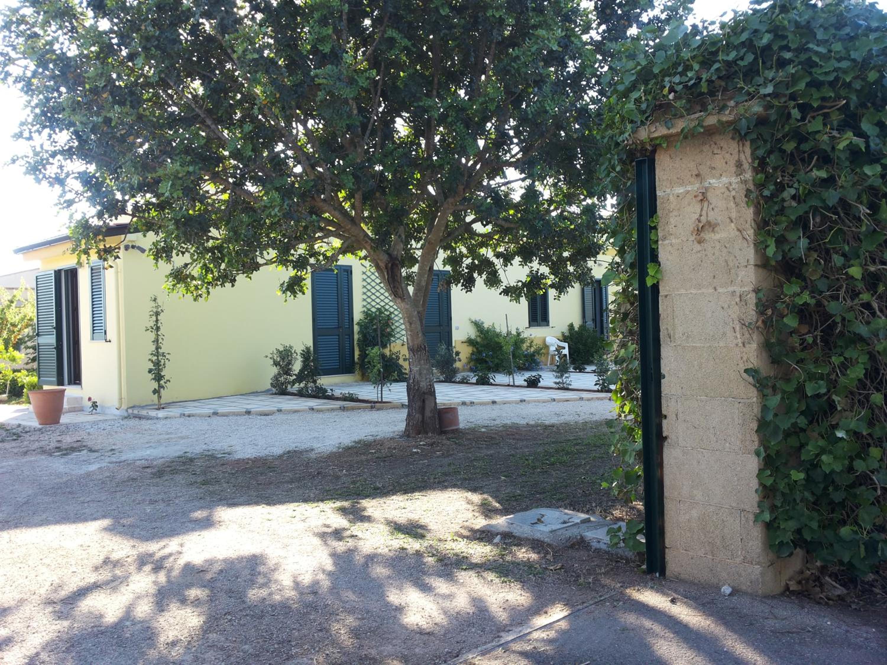 Photo 36