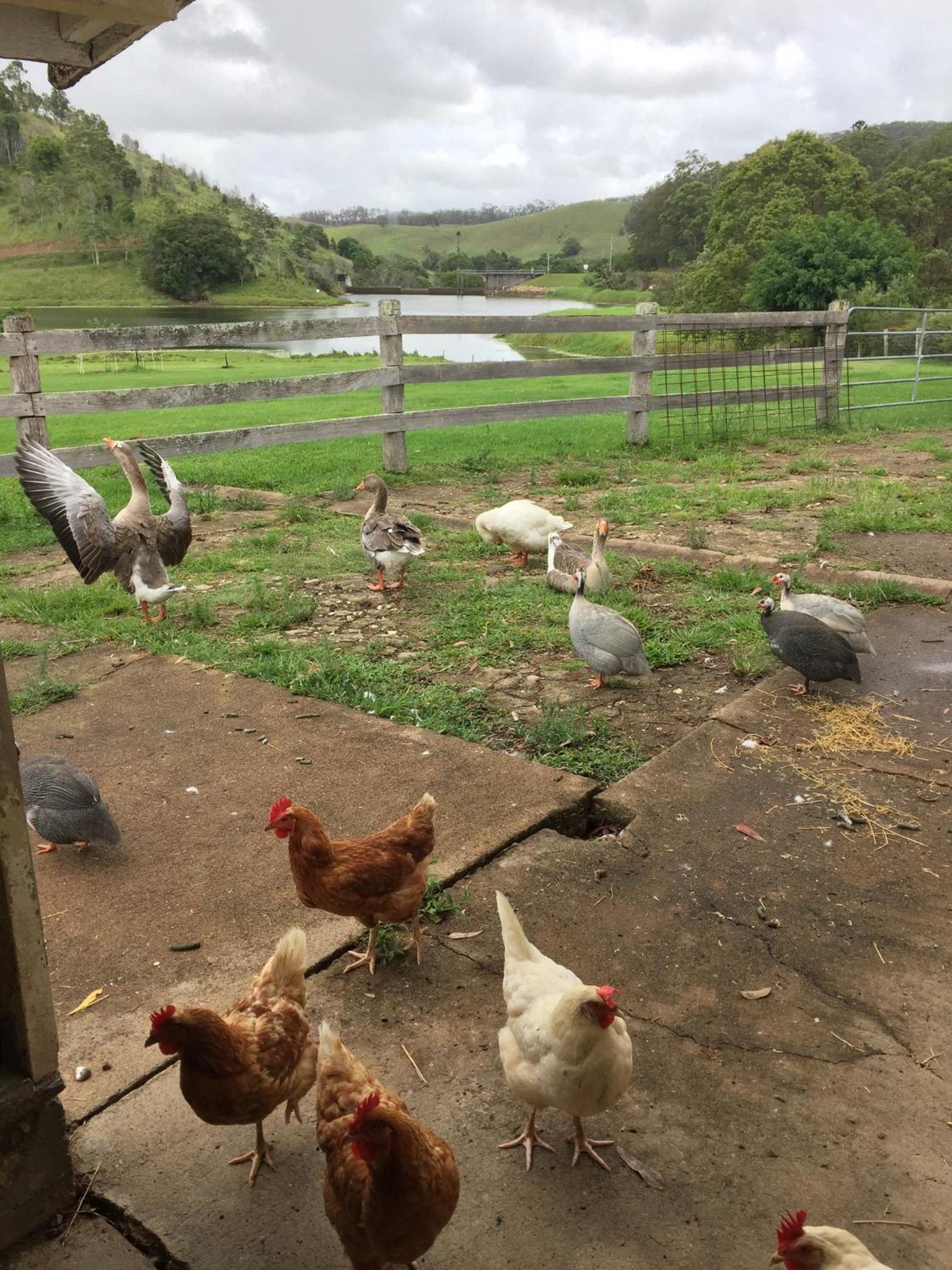 CedarBrae Country Stay - Property Image 7