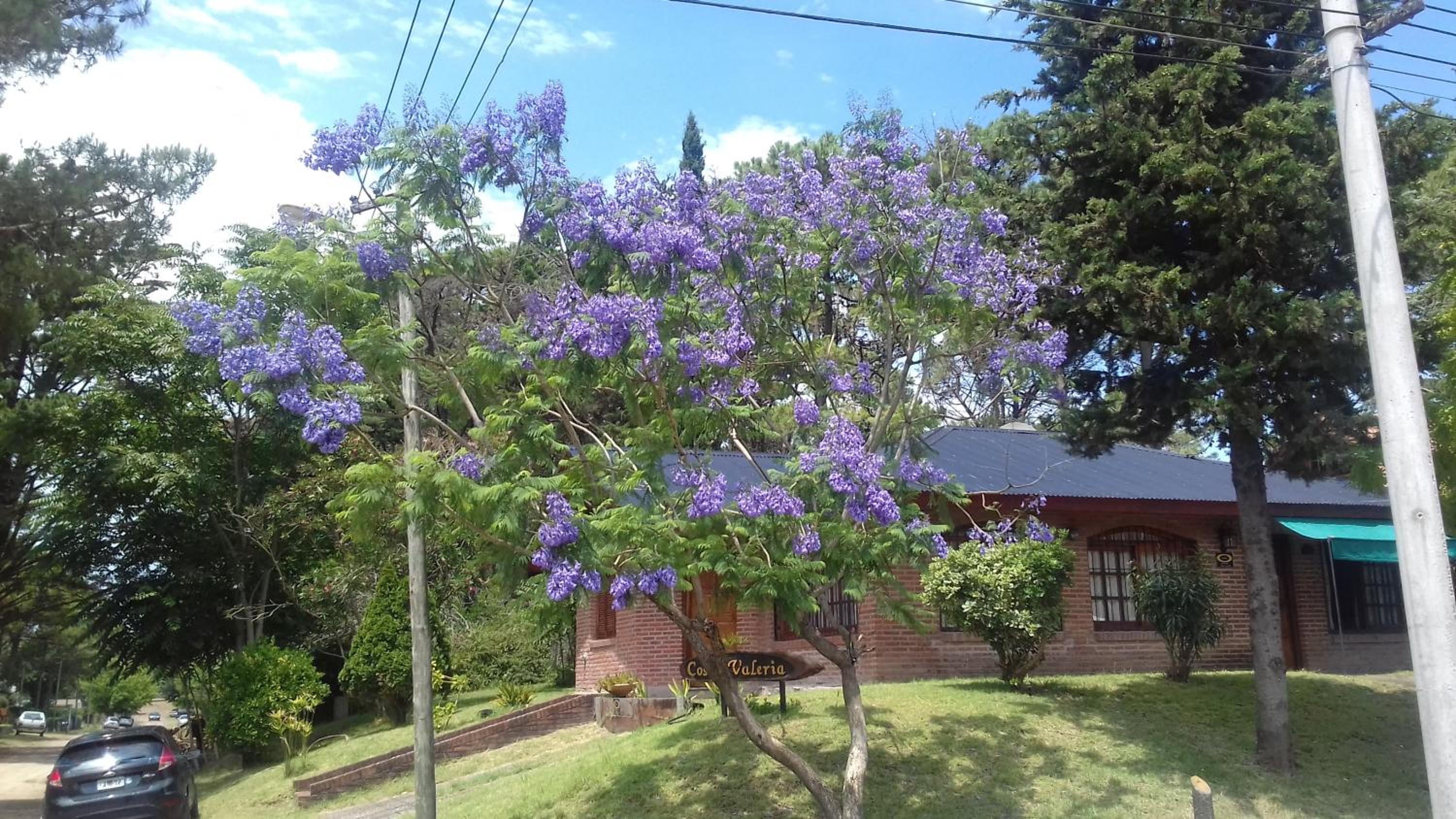 Chalet Costavaleria