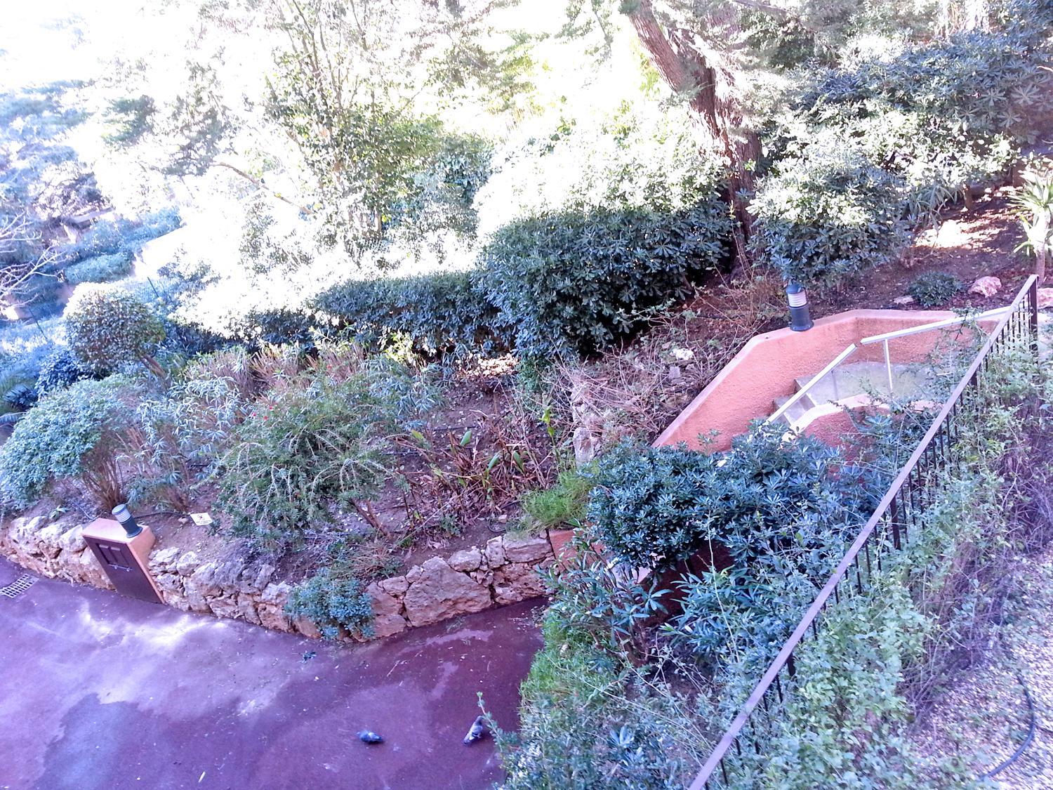 Petite Toscane view 2