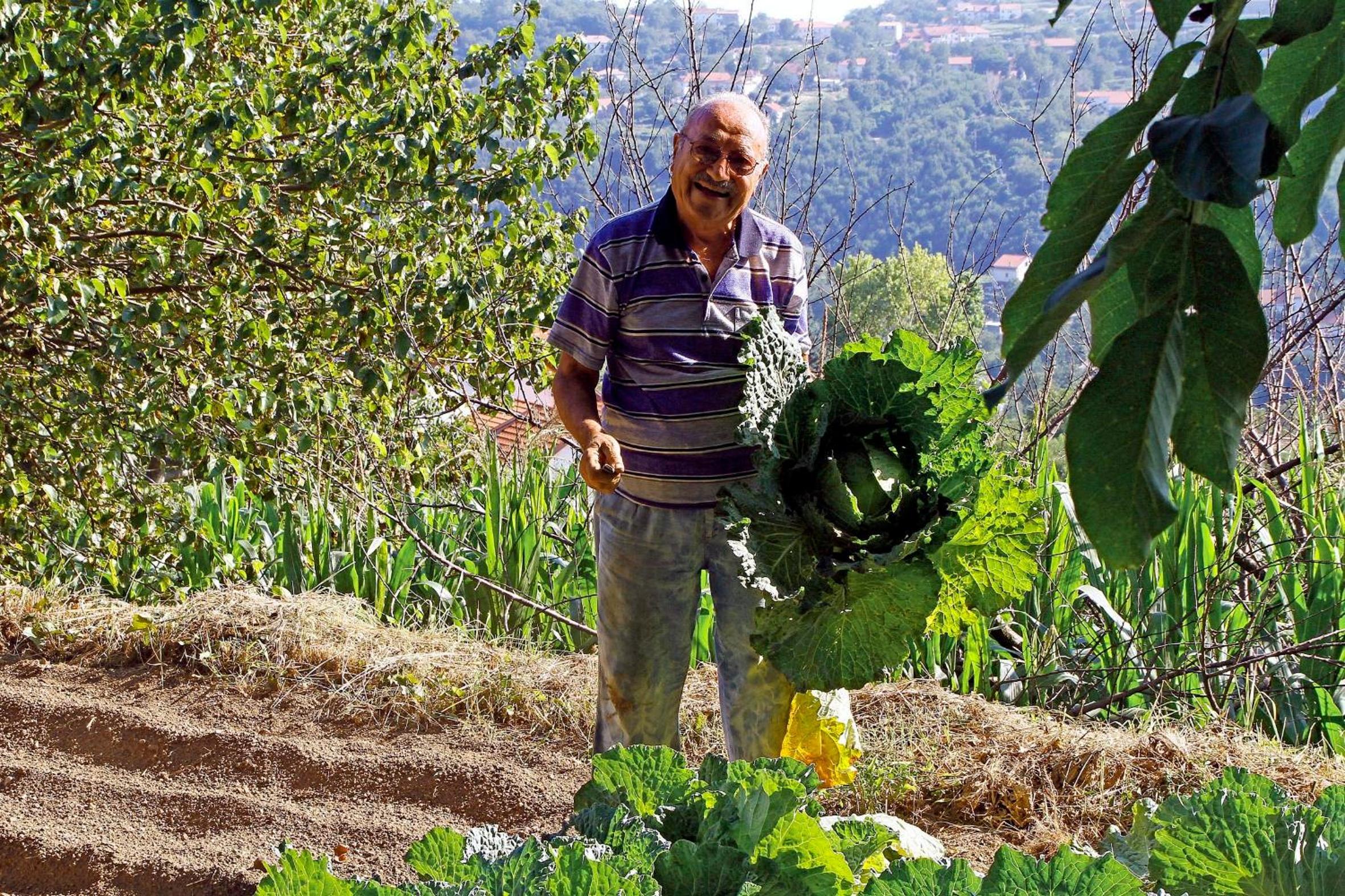 Agriturismo Nonno Tobia