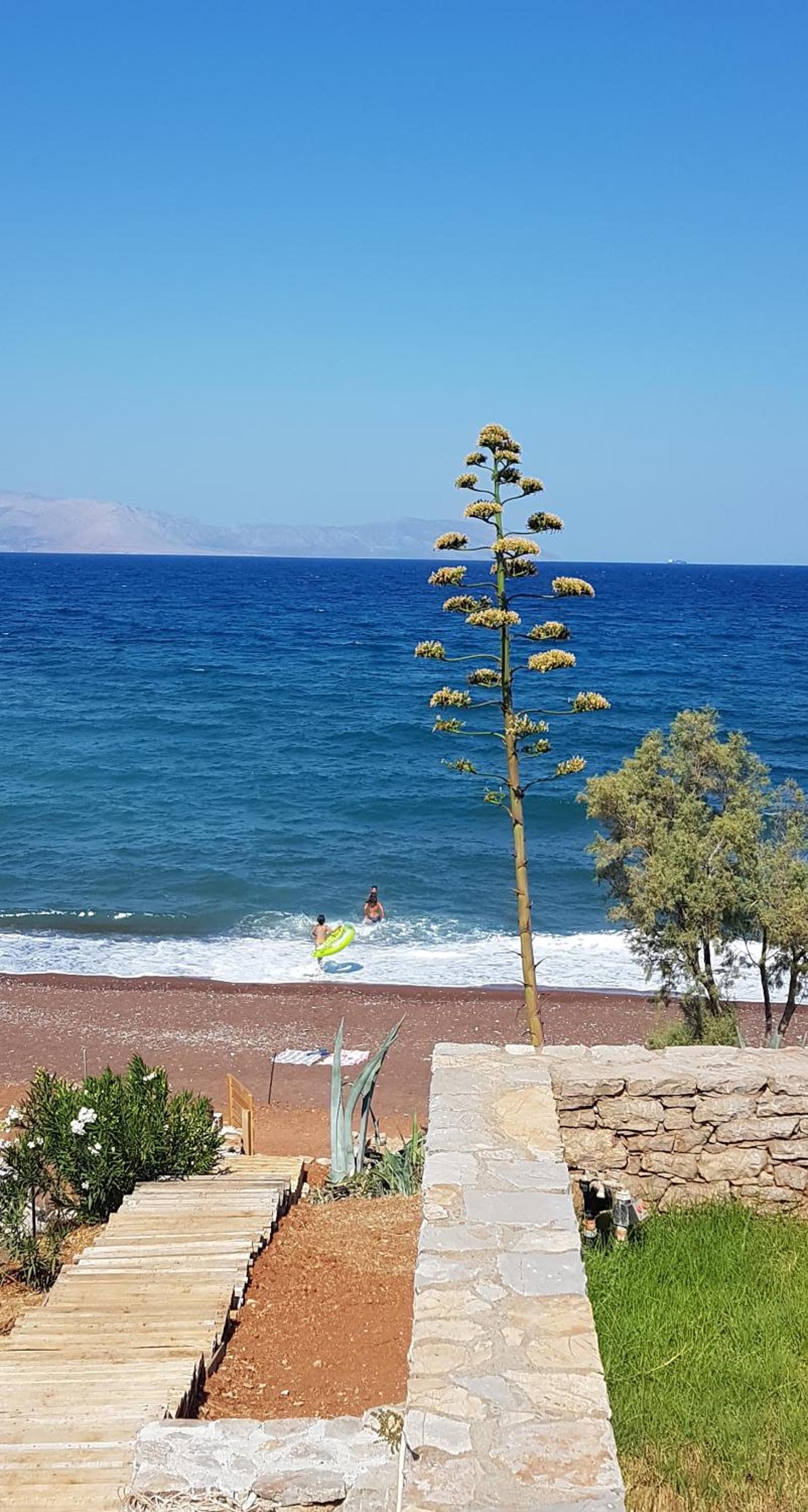 Almyra Kythera