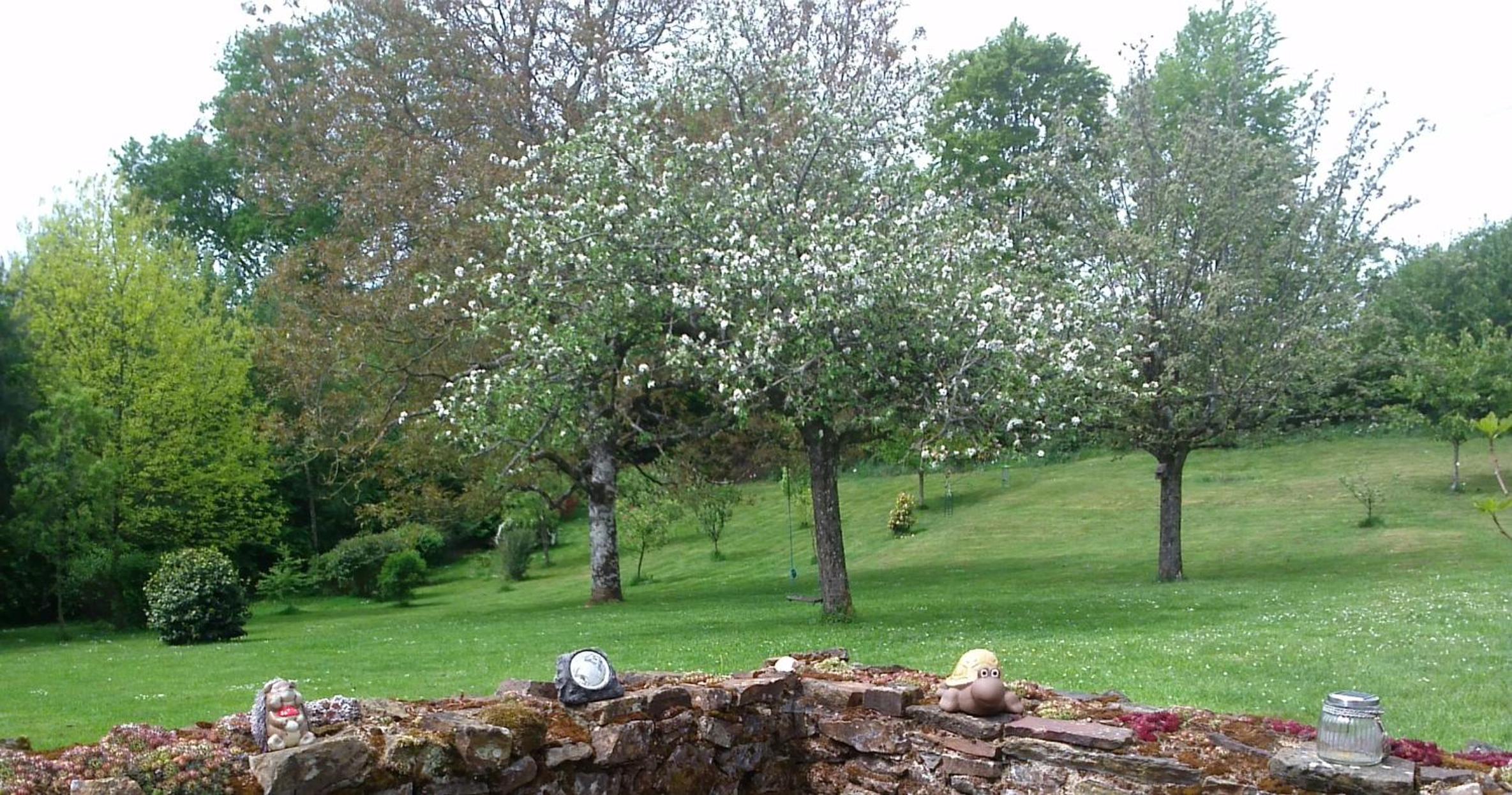 La Petite Maison view 5