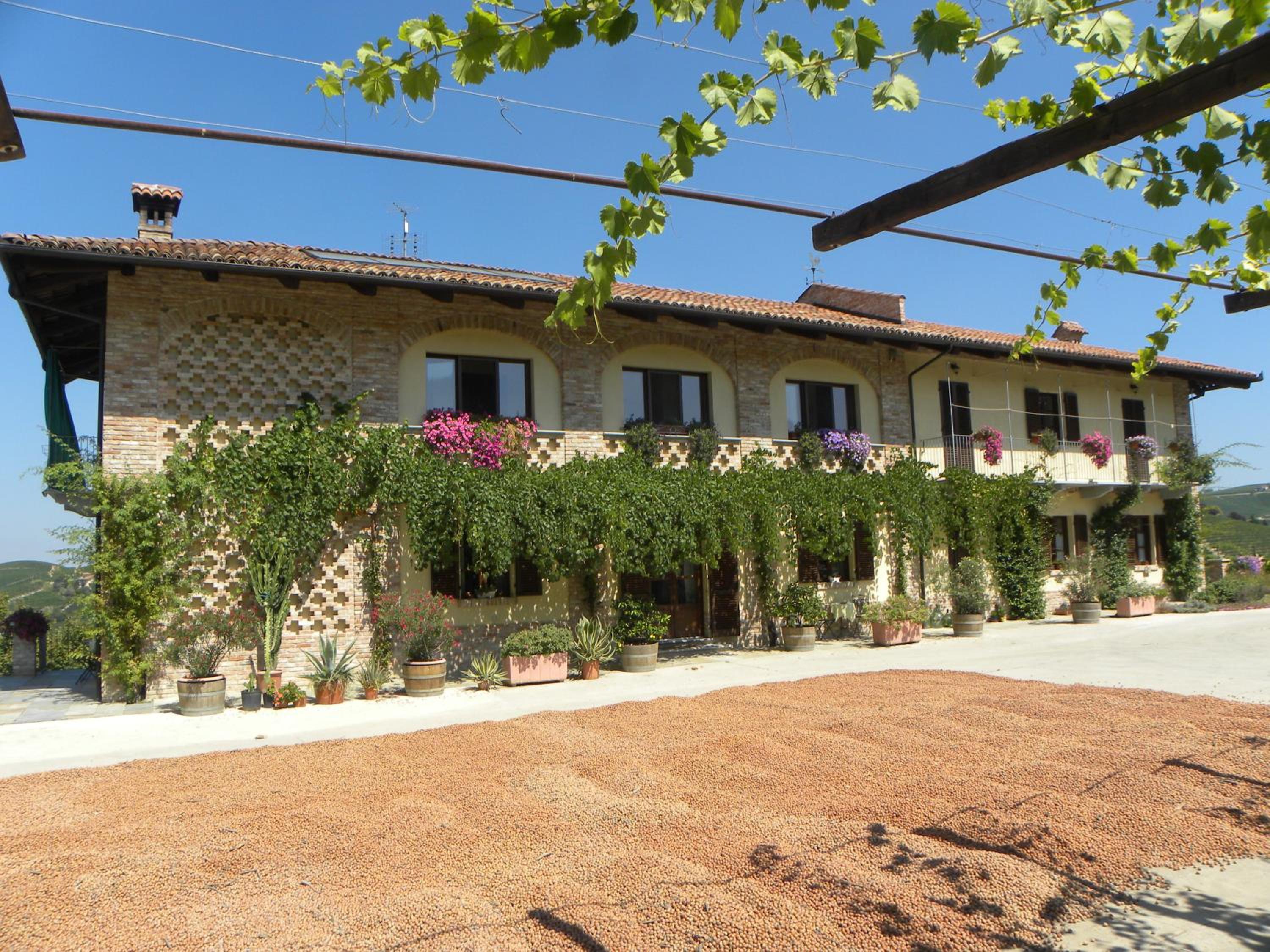 Agriturismo Tre Stelle view 4