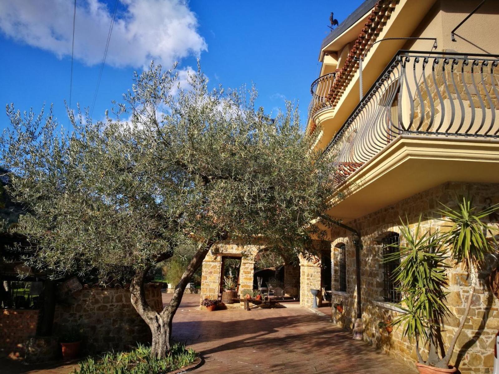 La Ginestra