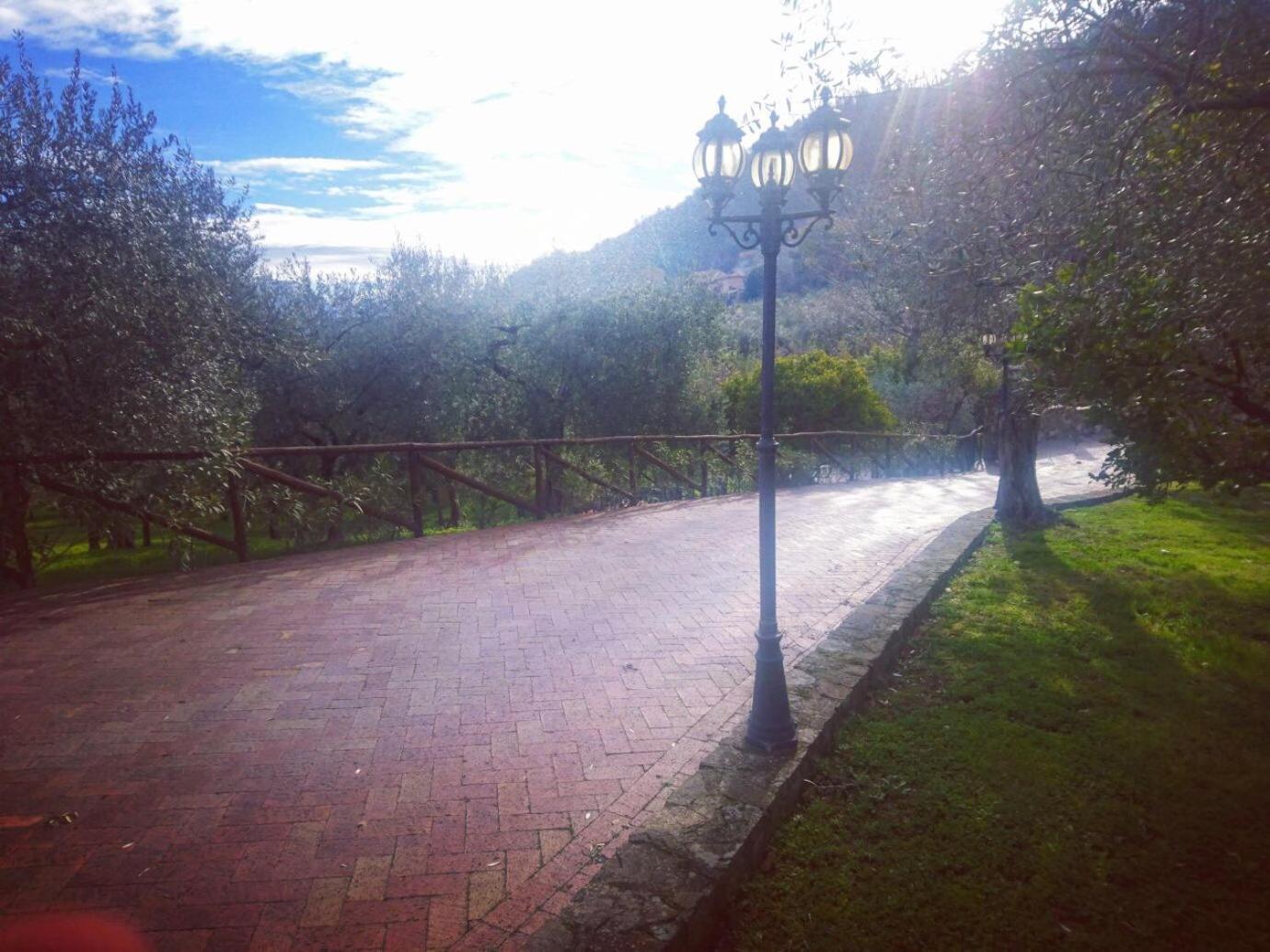 La Ginestra