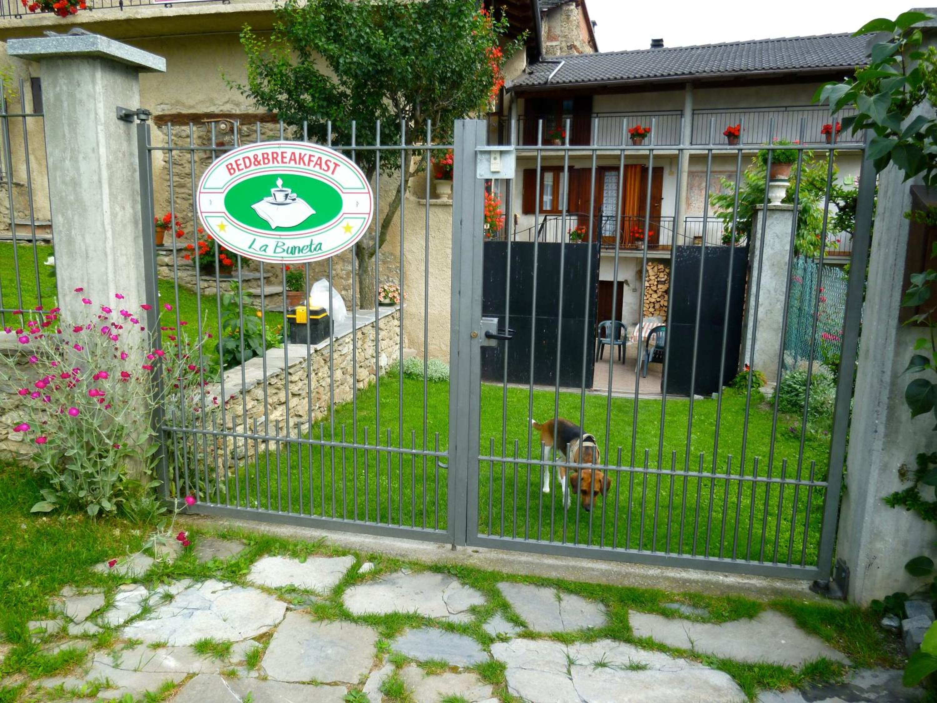 Photo 21