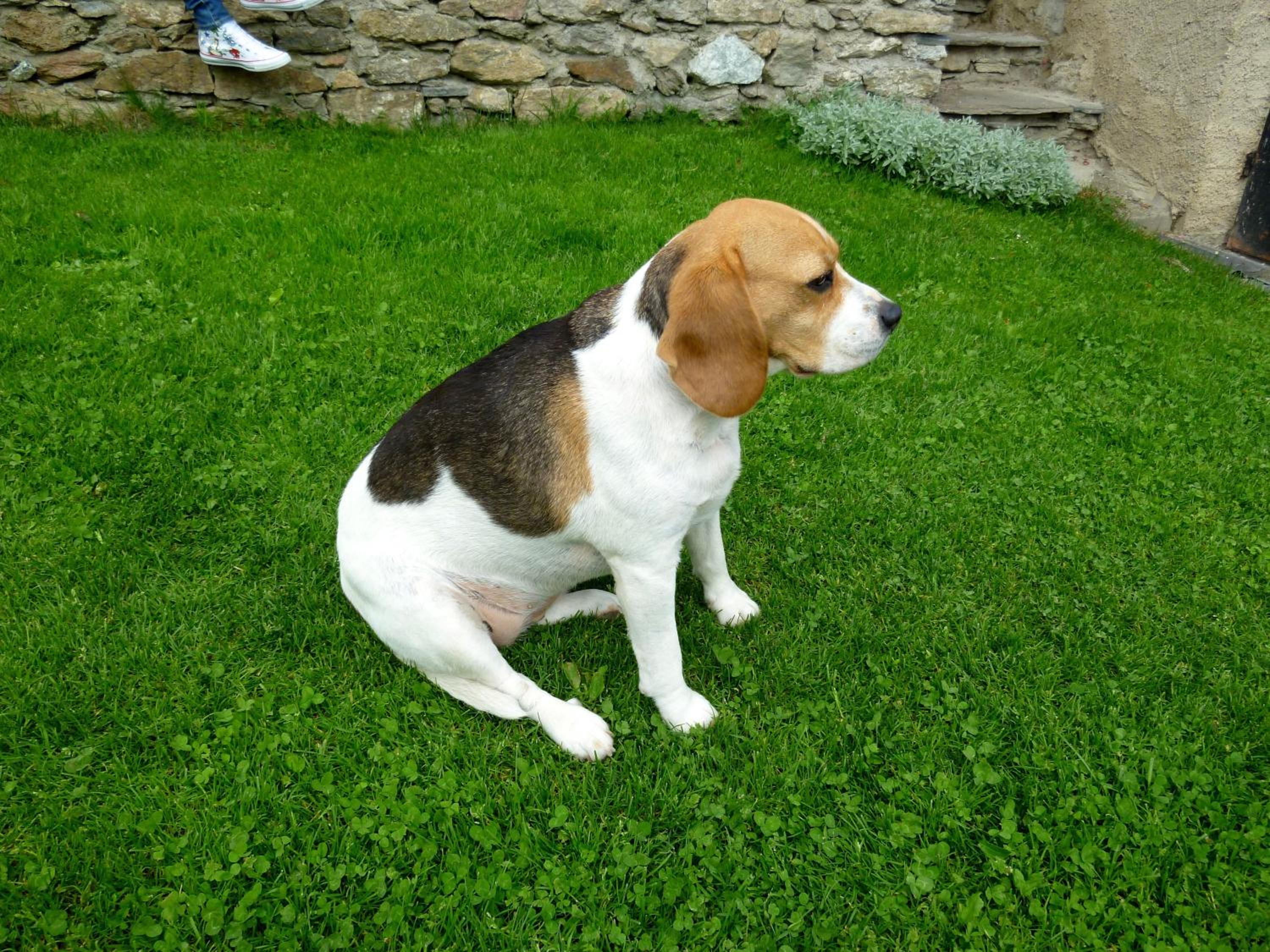 Photo 22