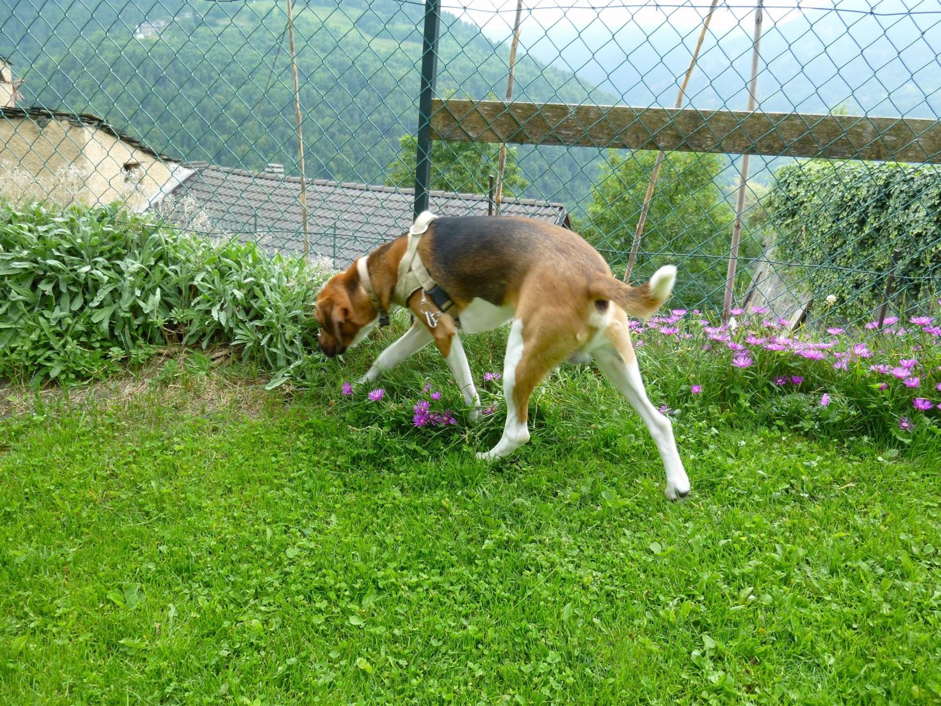 Photo 23