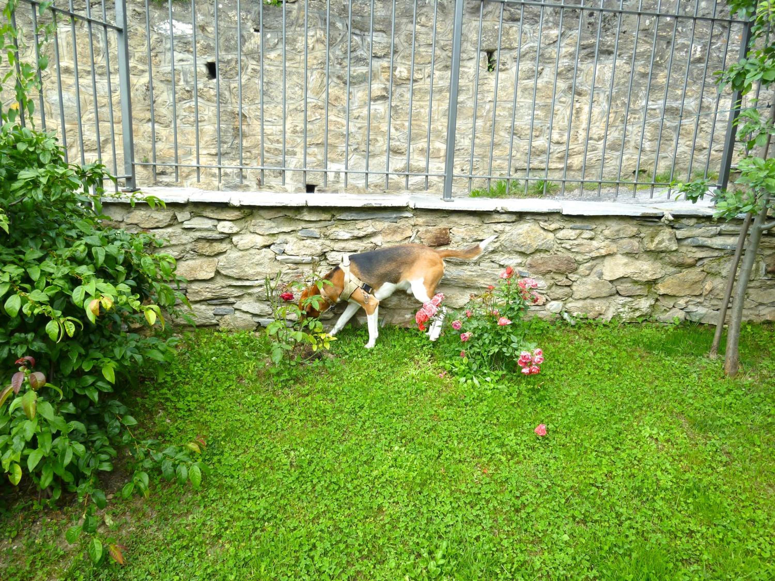 Photo 25