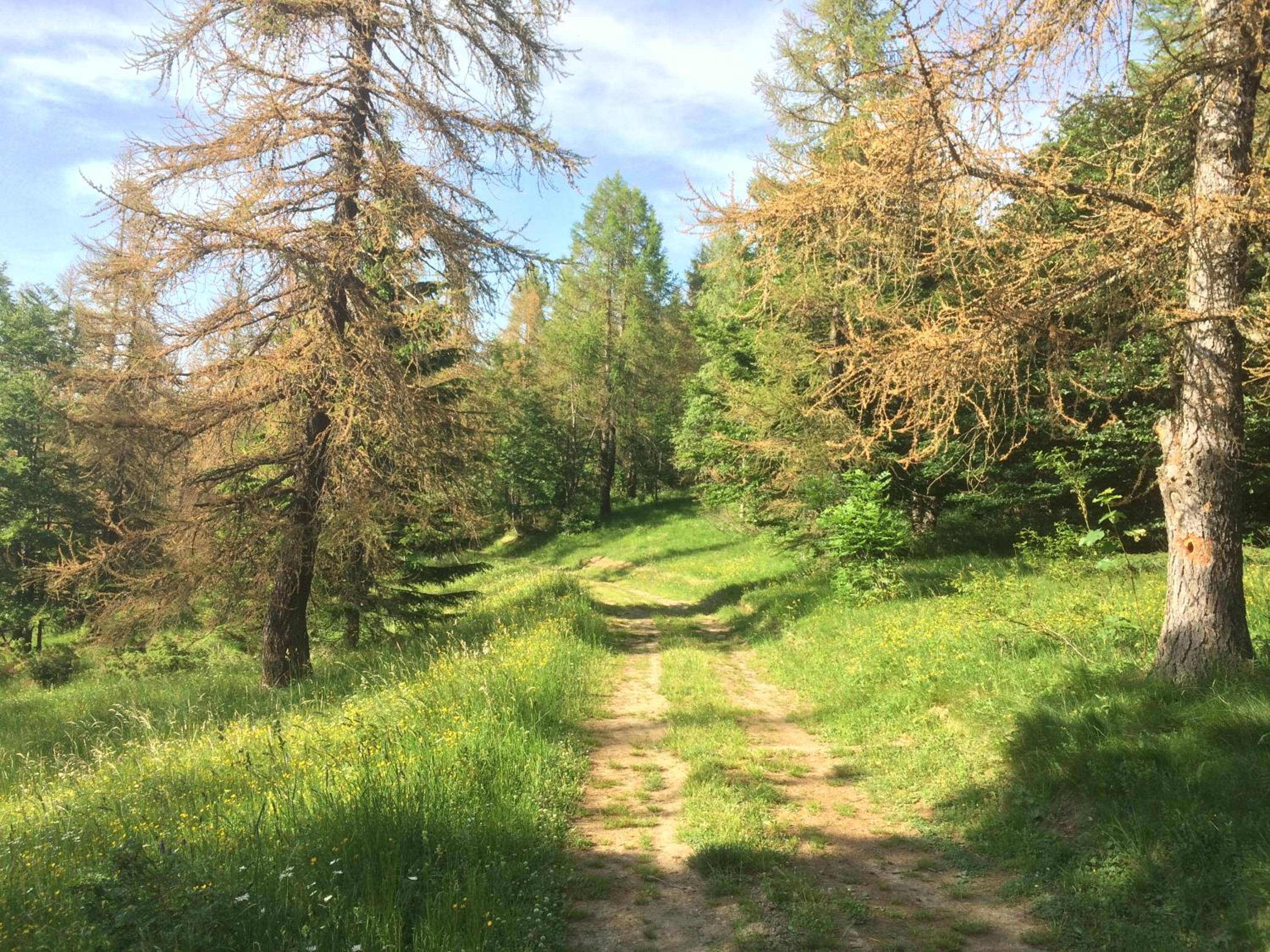 Photo 26