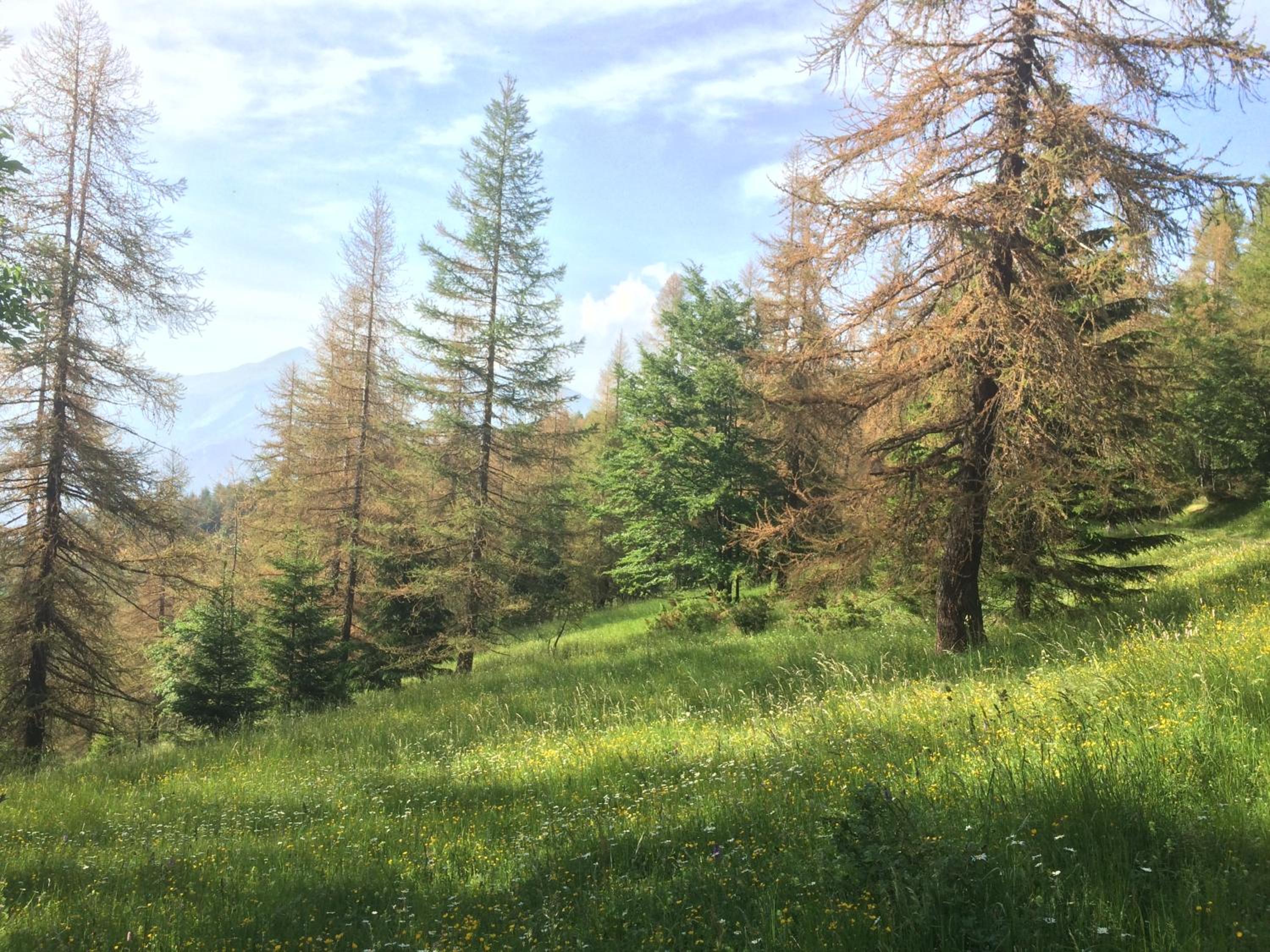 Photo 27
