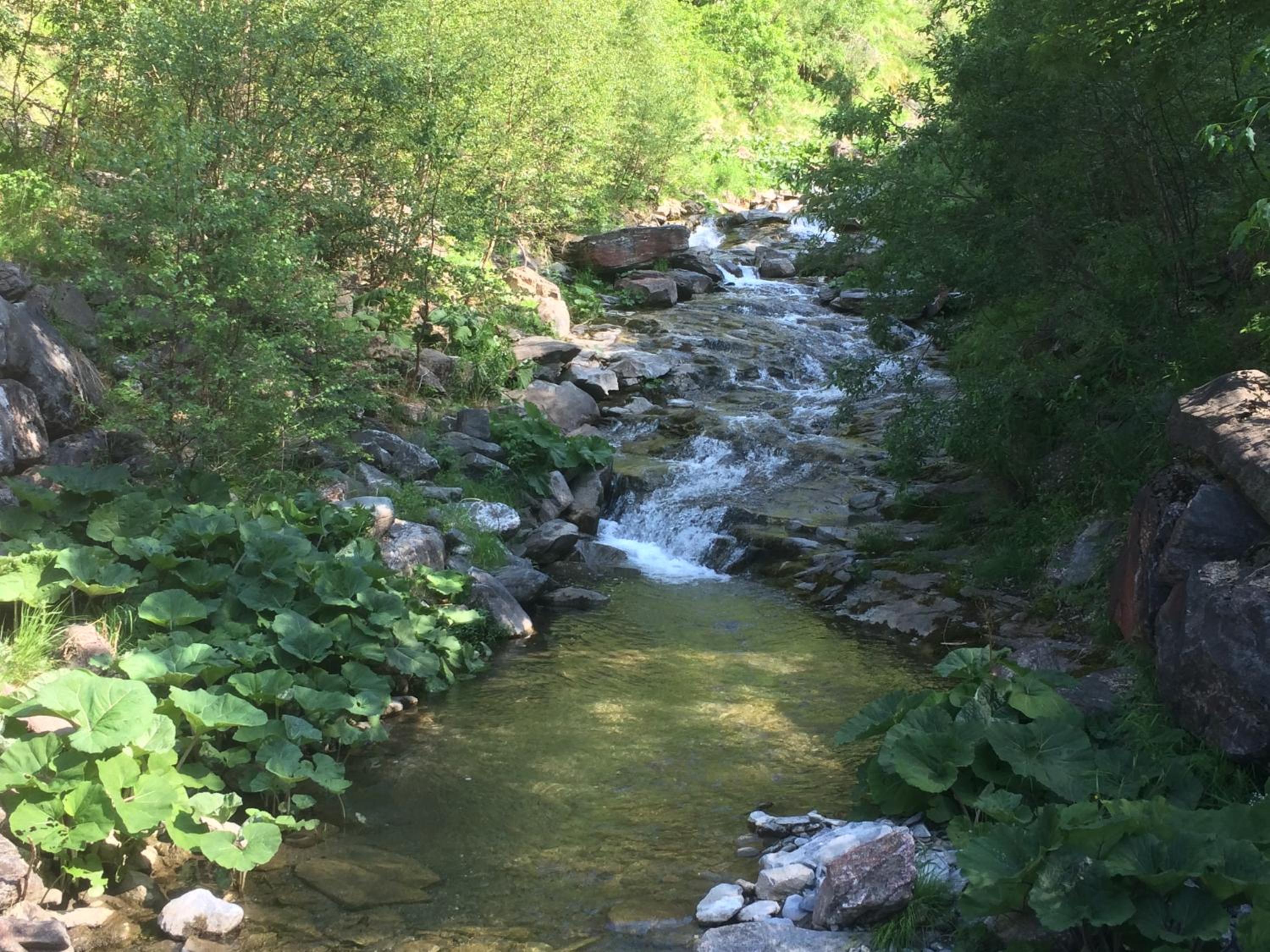 Photo 31