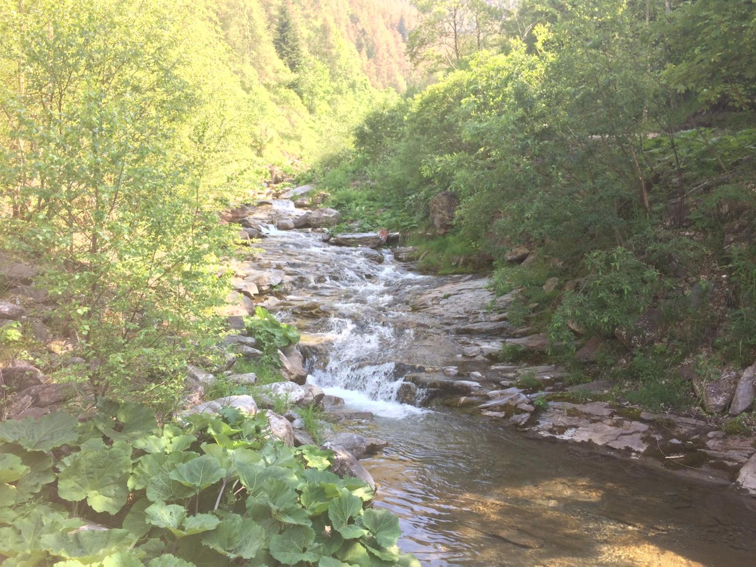 Photo 34