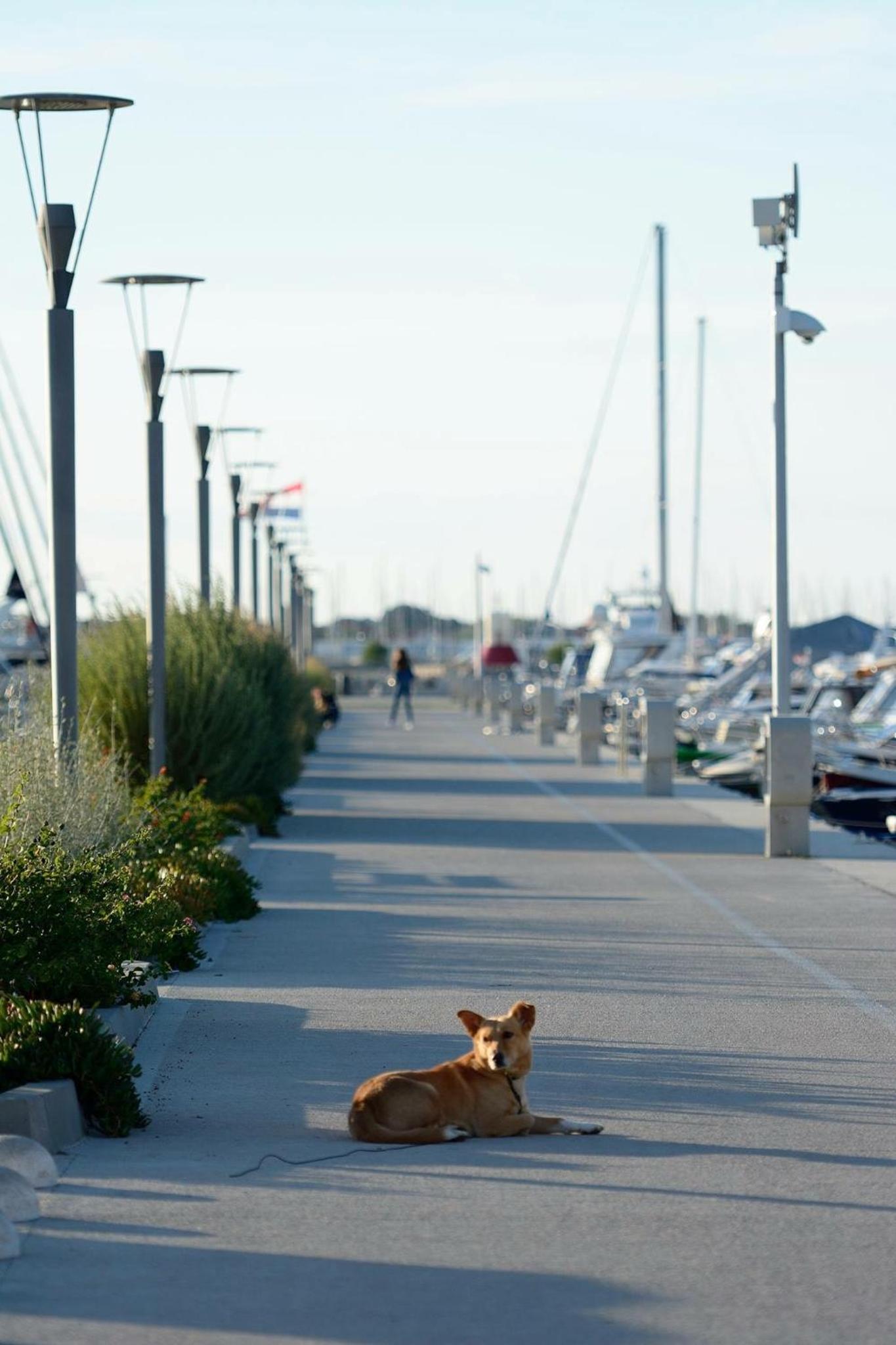 Photo 40