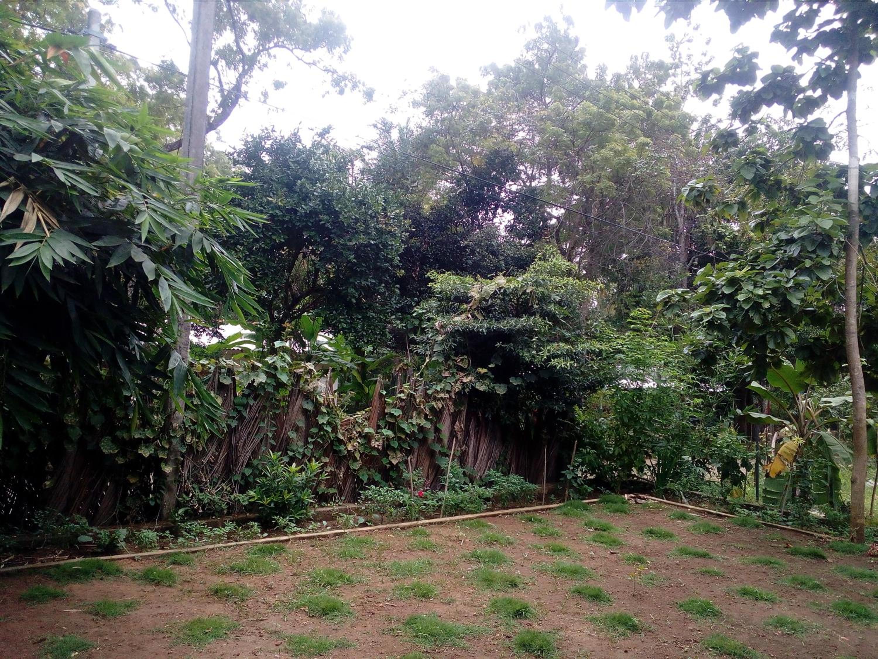 Photo 45