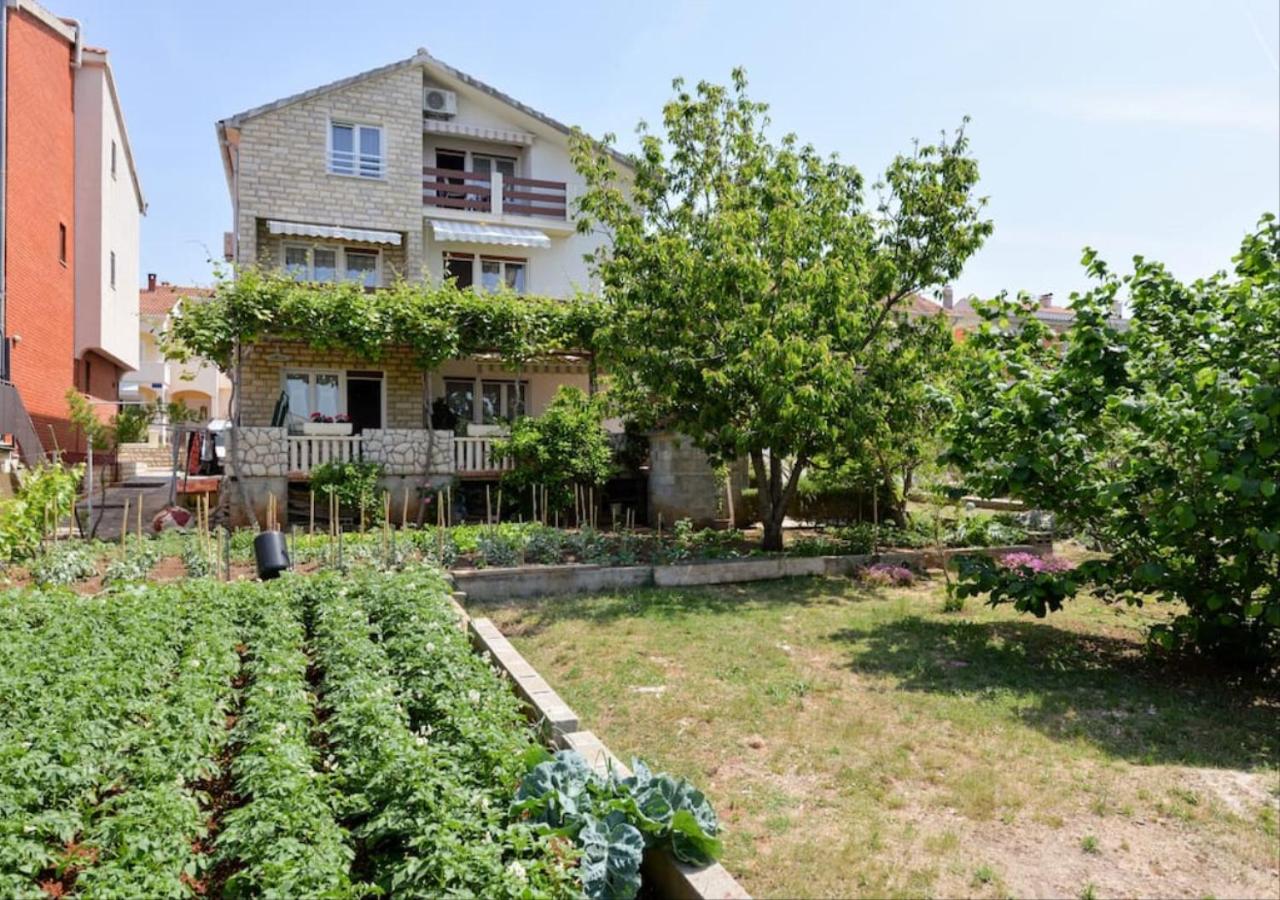 Apartments Mima