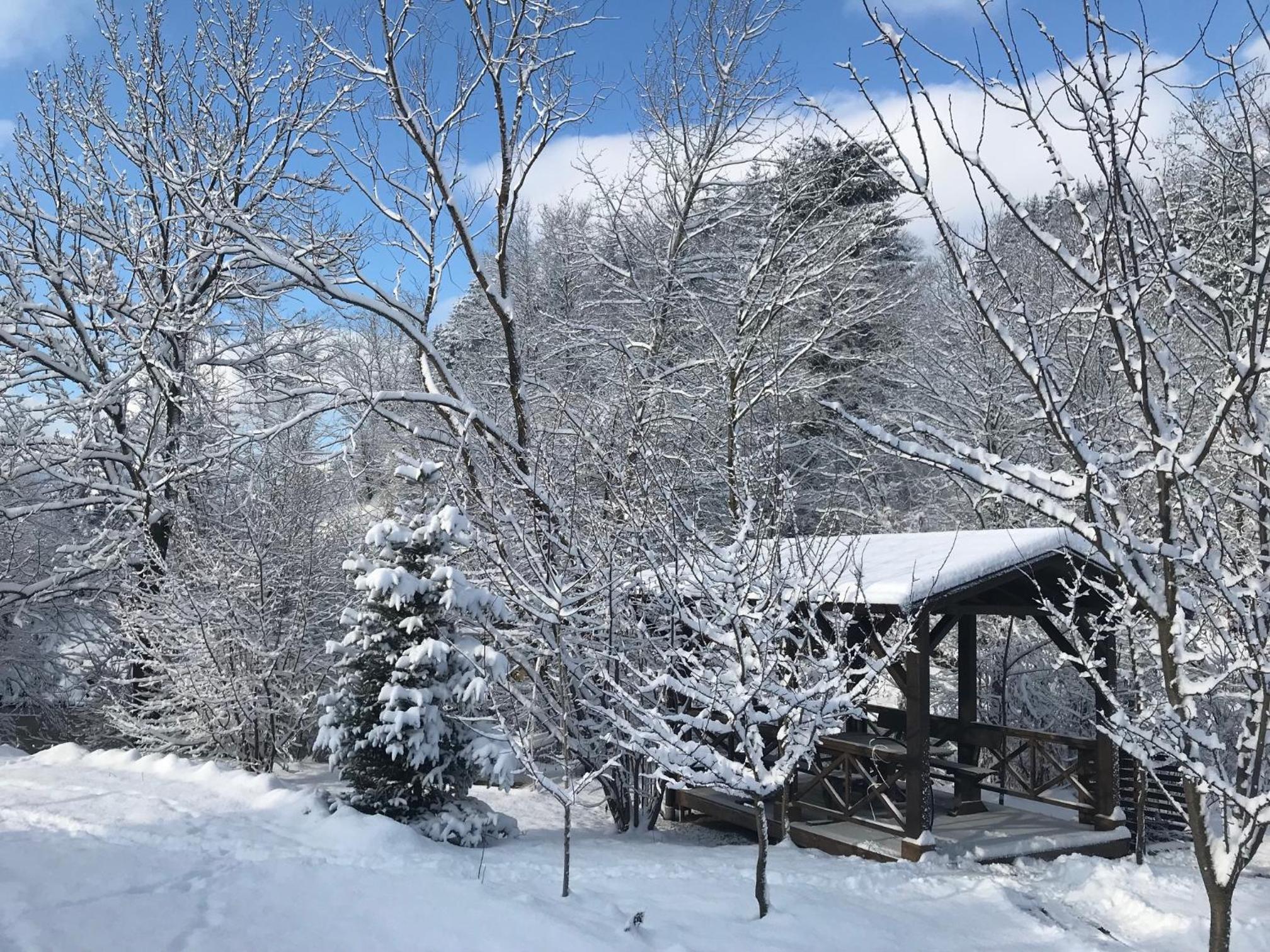 Gallery of Mountains Holiday Home