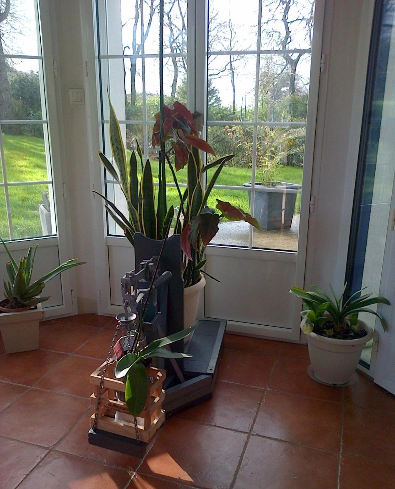 Photo 43