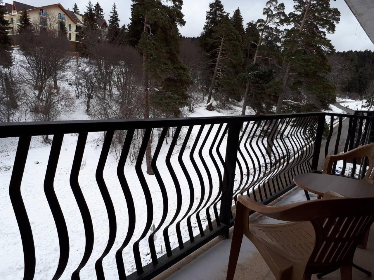 EP Apartment in Mgzavrebi Bakuriani