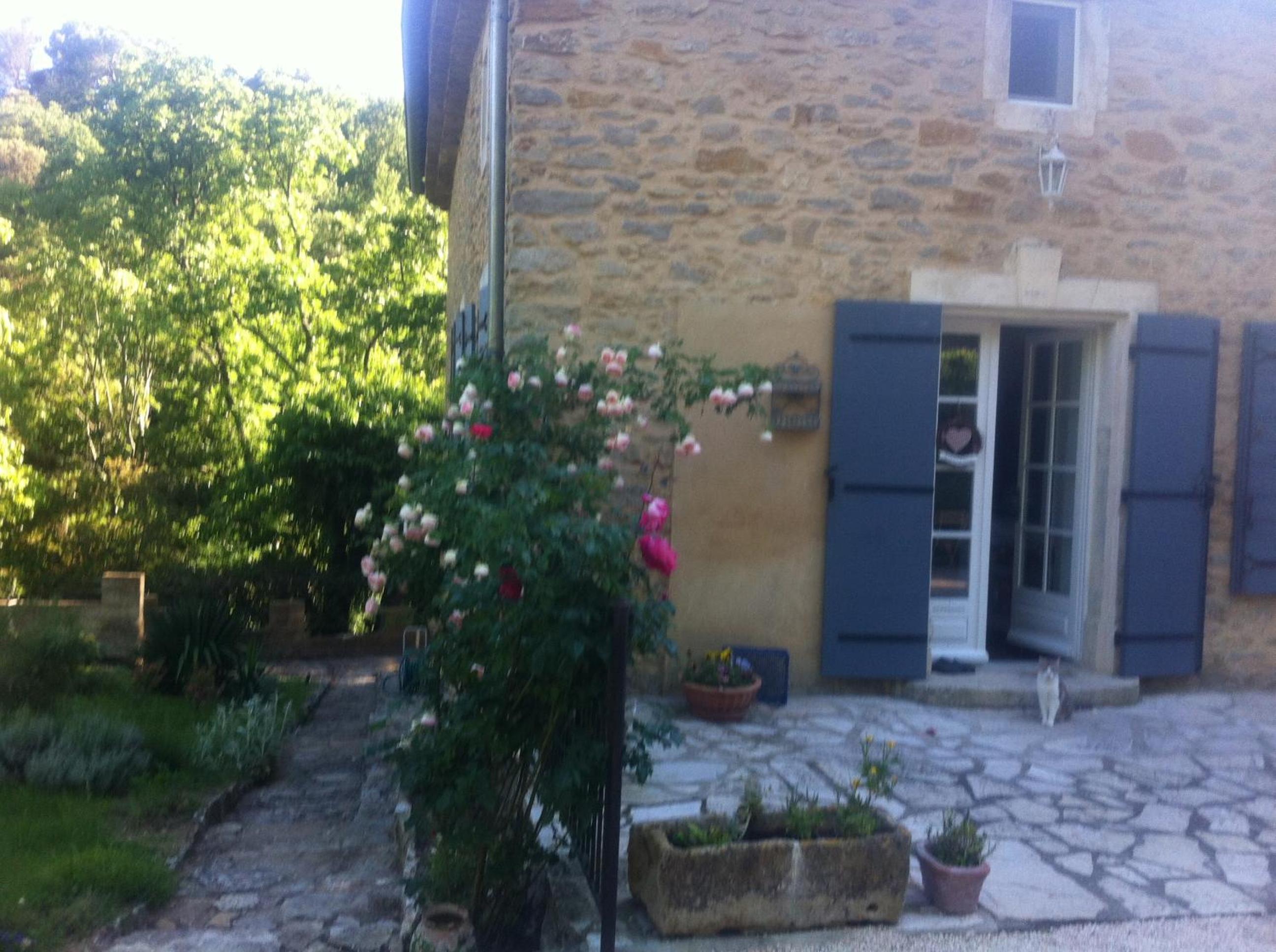 Photo 21