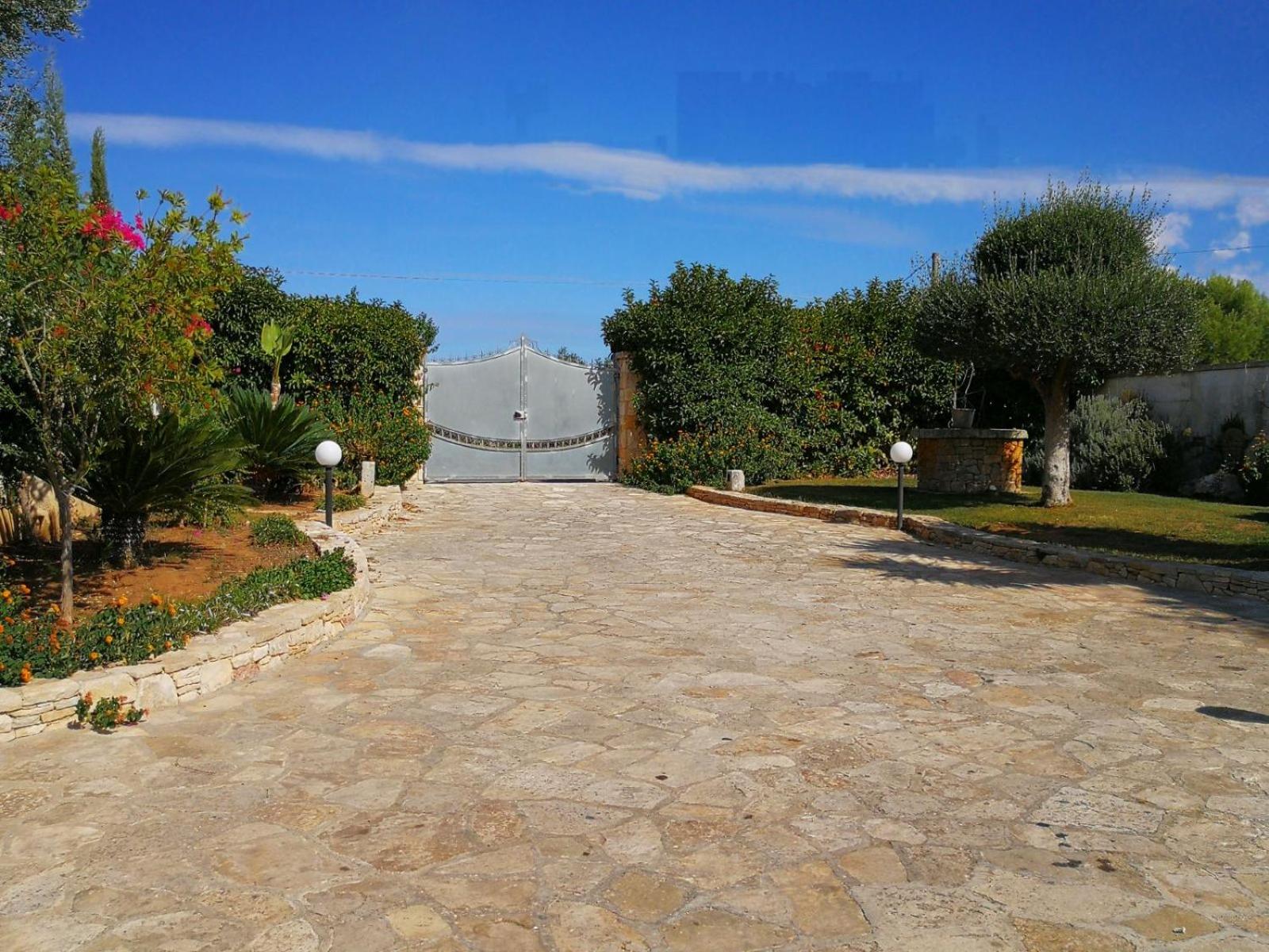 Photo 9