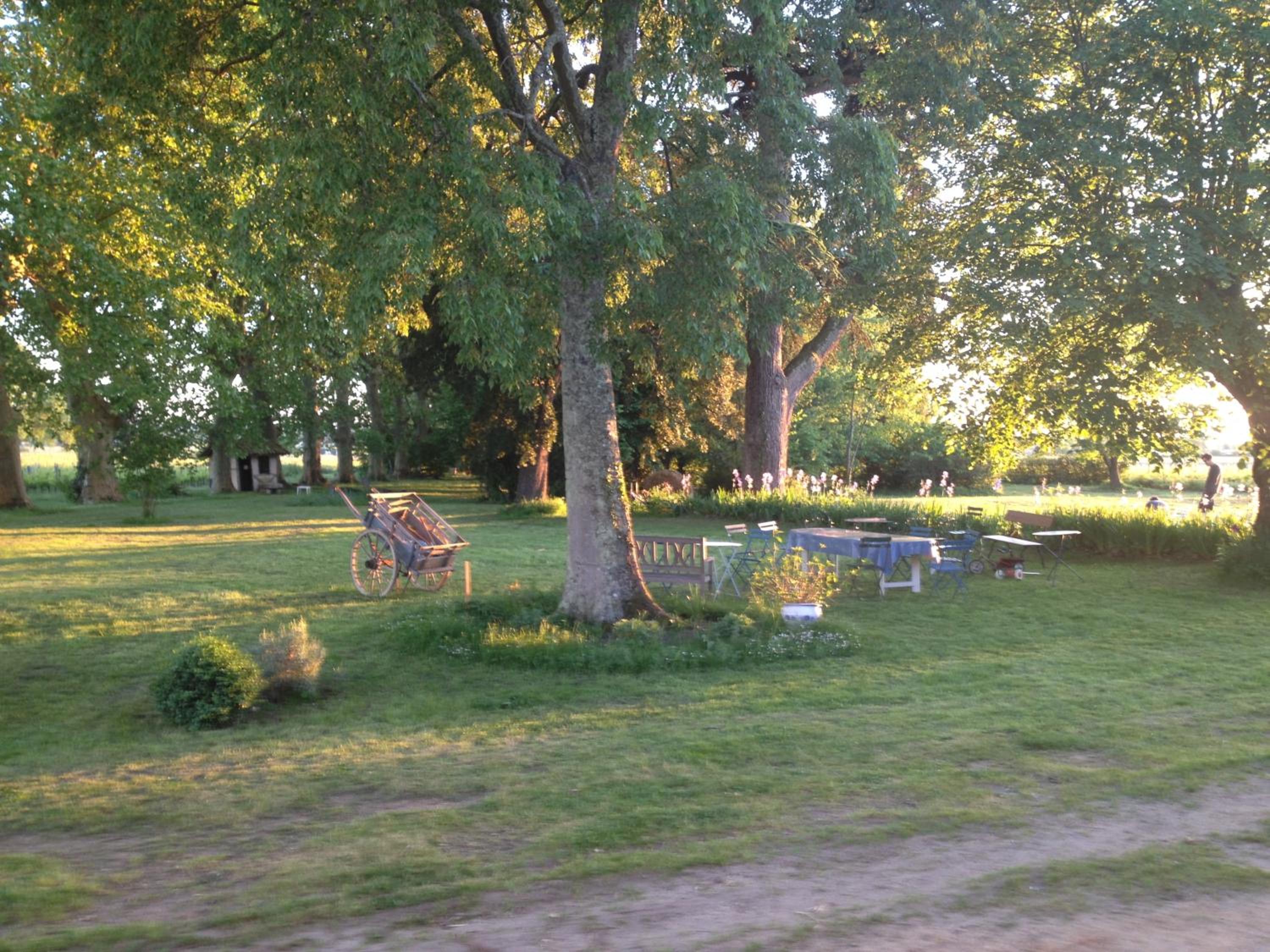 Photo 25