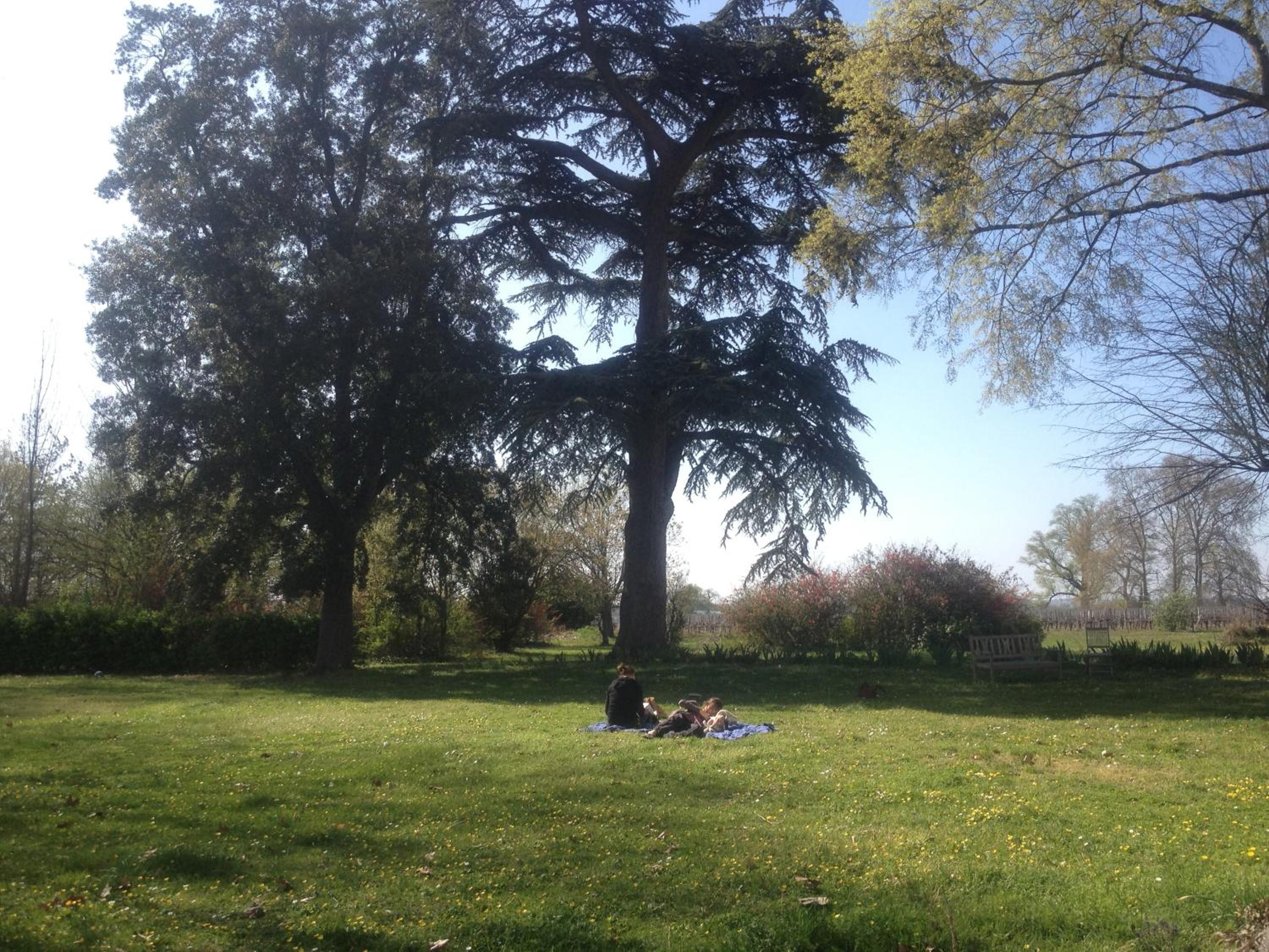 Photo 24