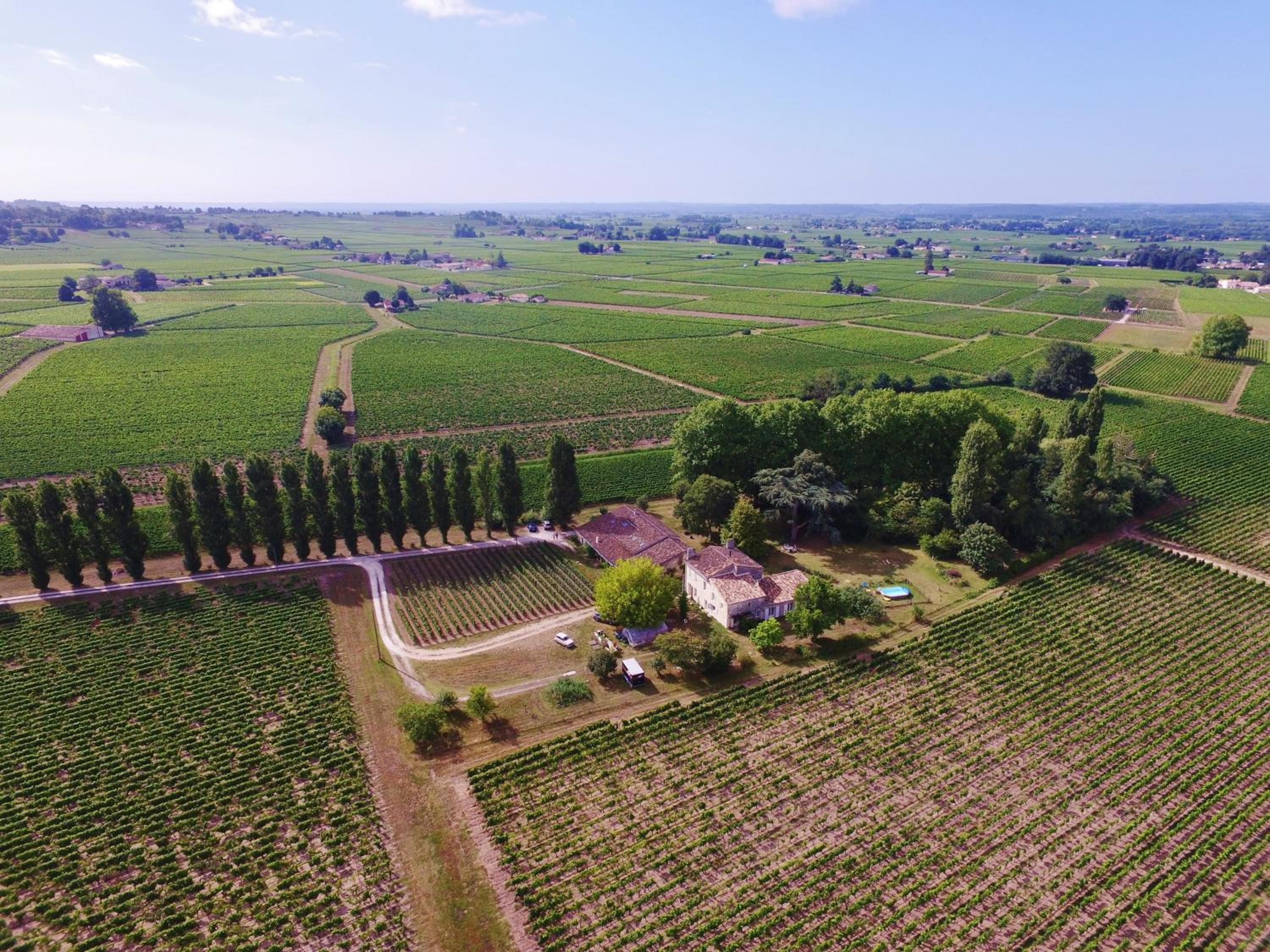 Photo 47