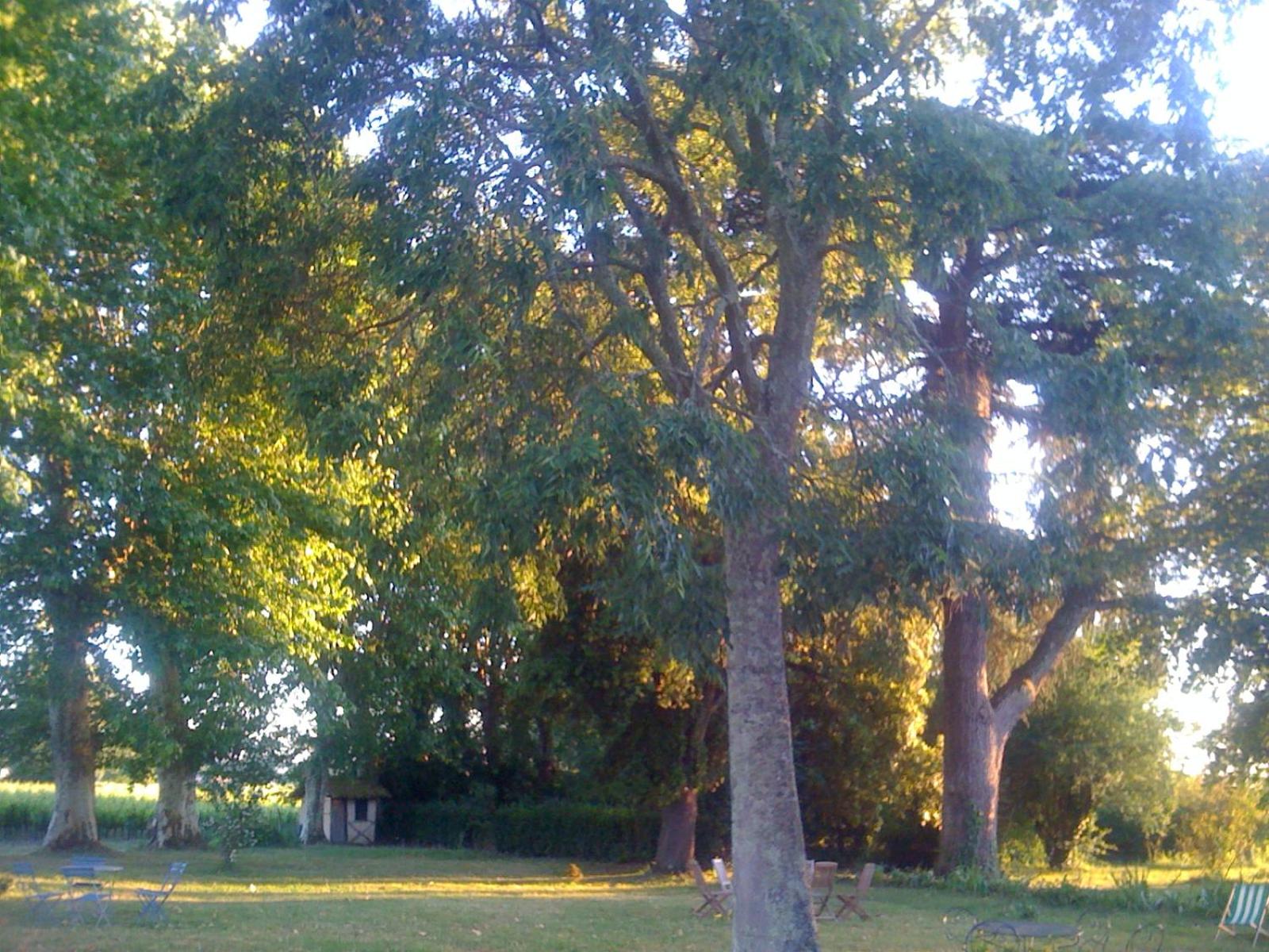 Photo 50