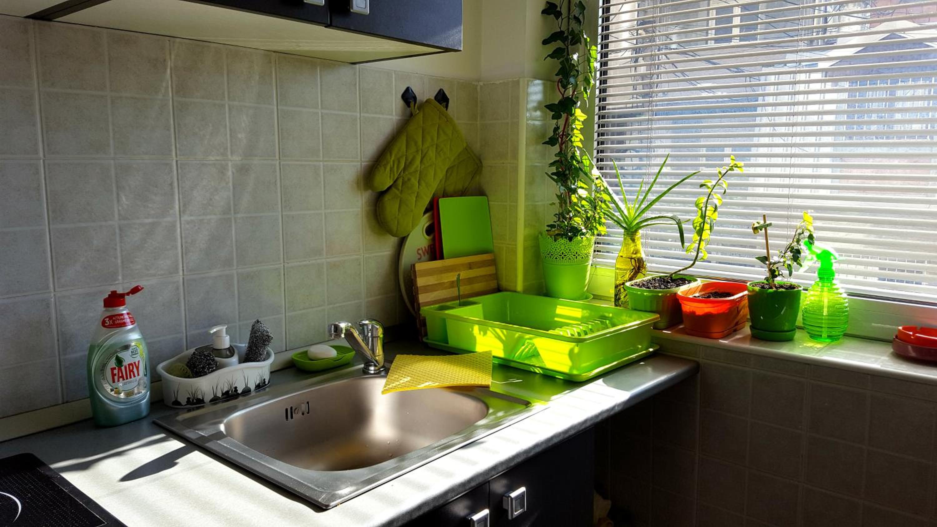 Apartment Greenfield