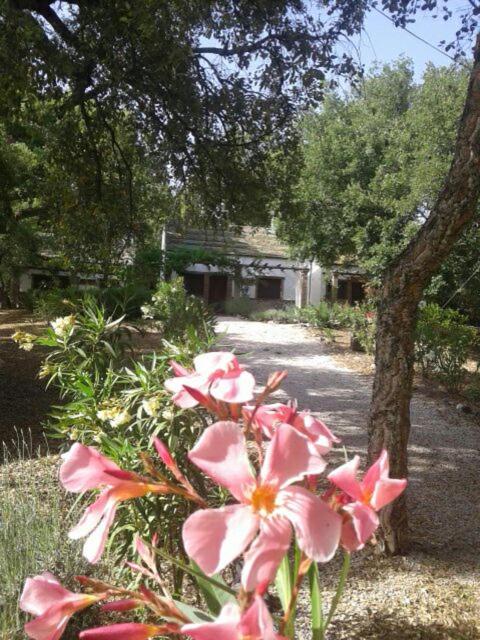 Camping Genal view 4