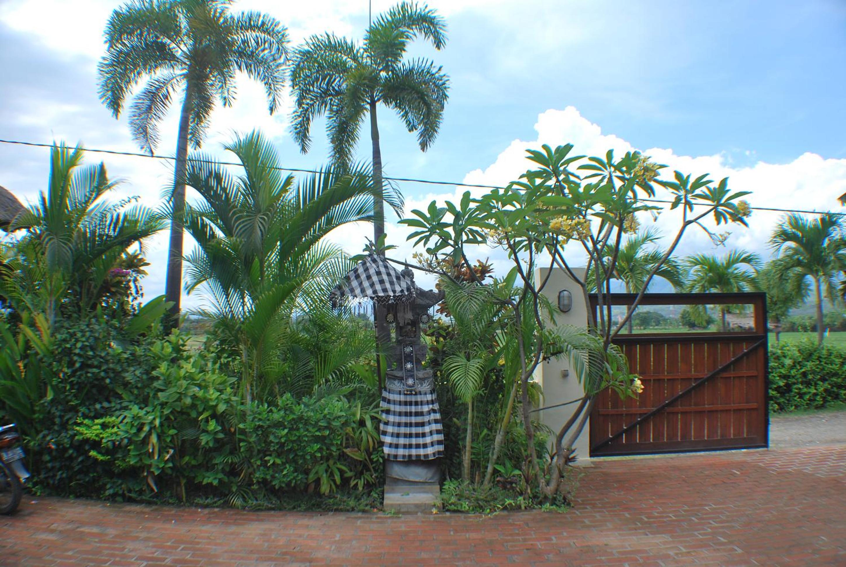Photo 37