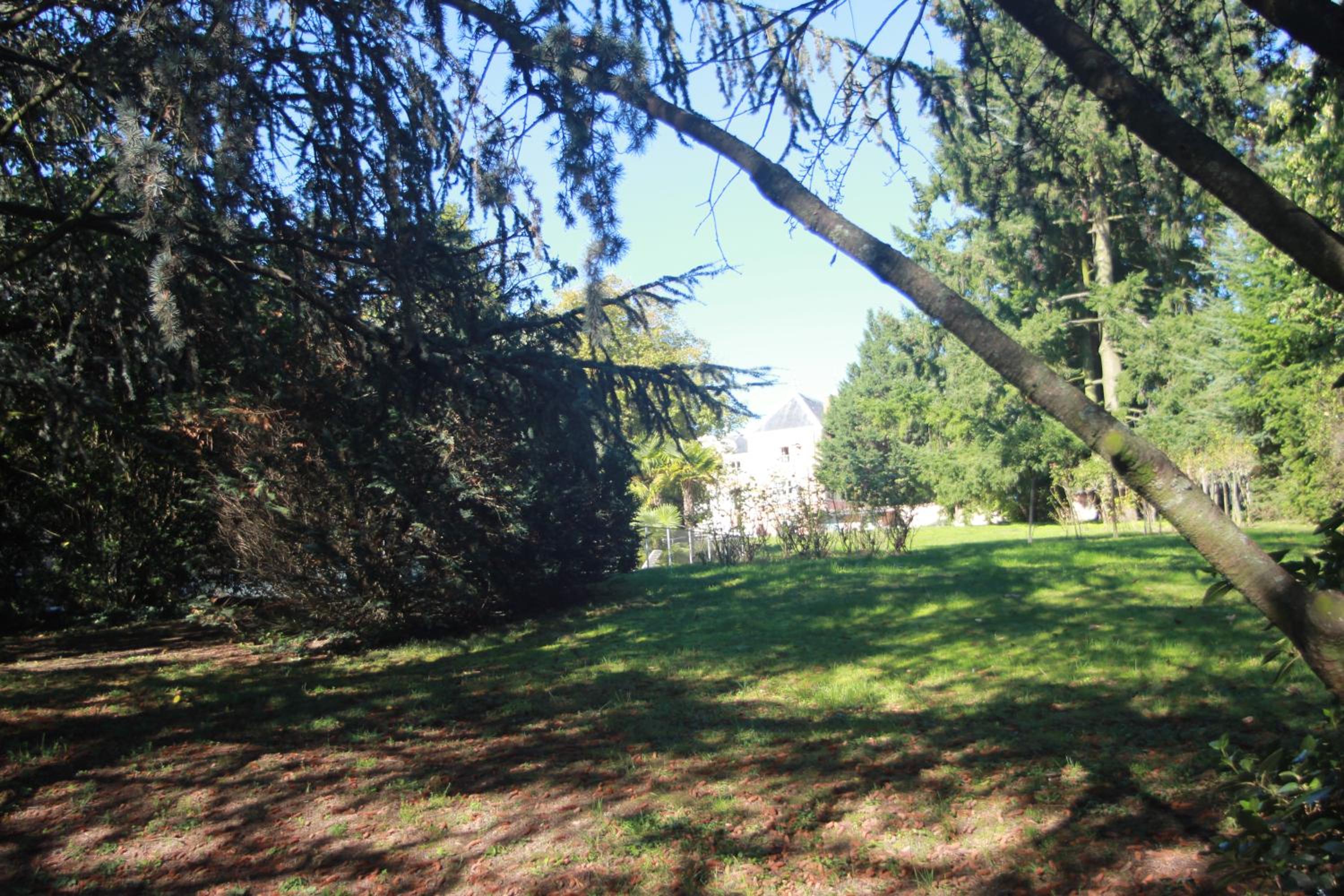 Chateau de la Chapelle des Bois view 5