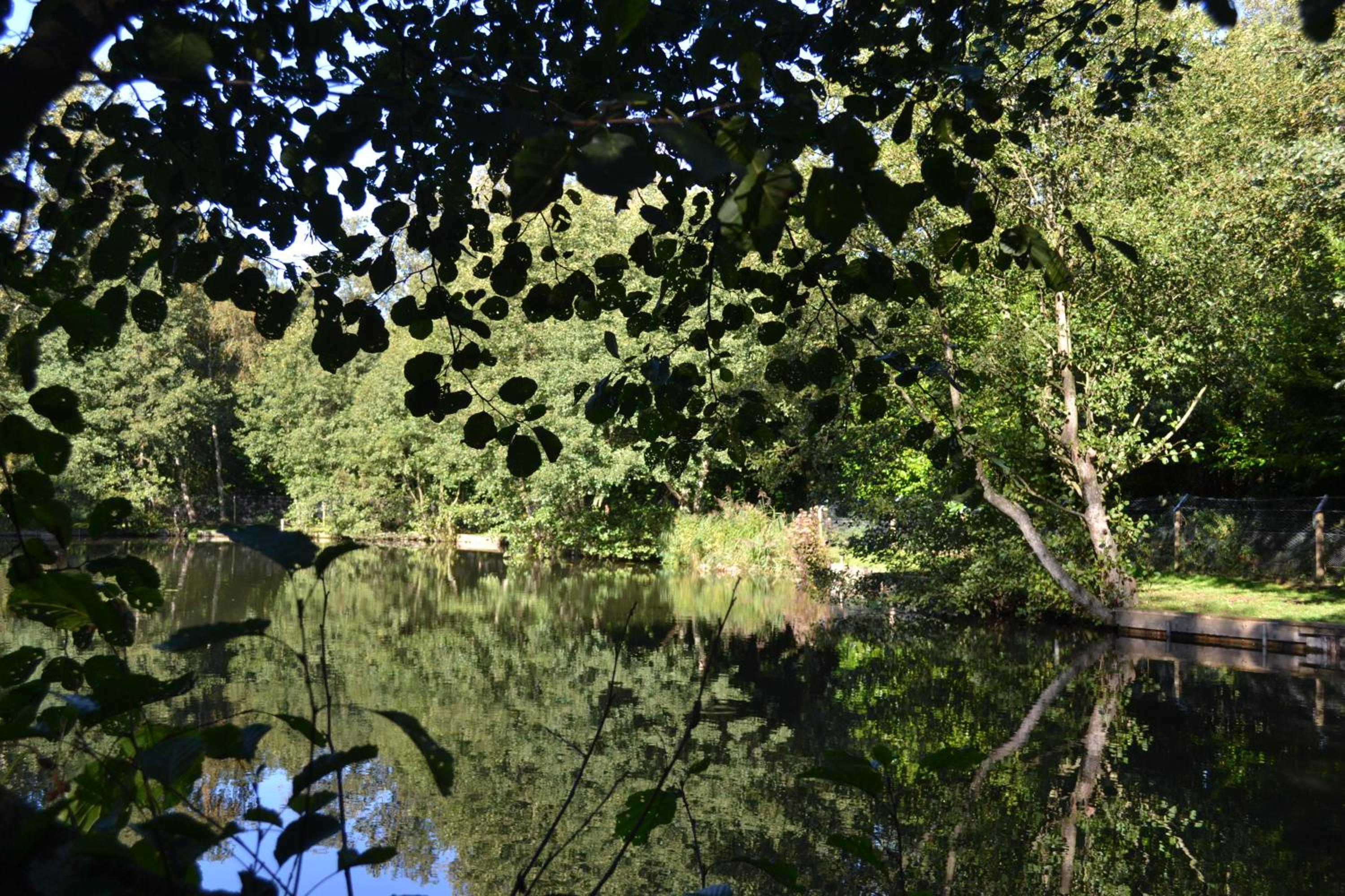 Photo 15