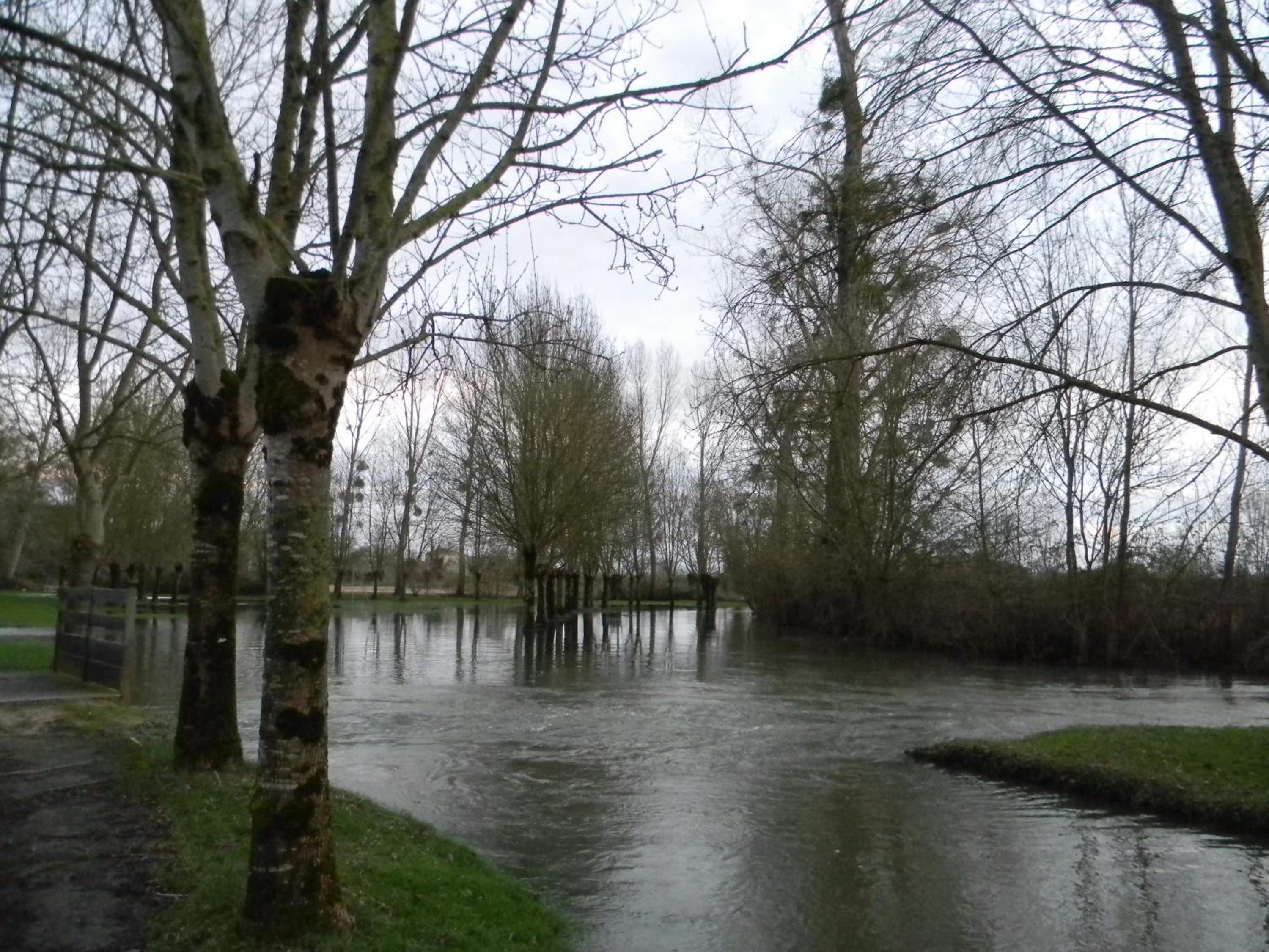 Photo 21